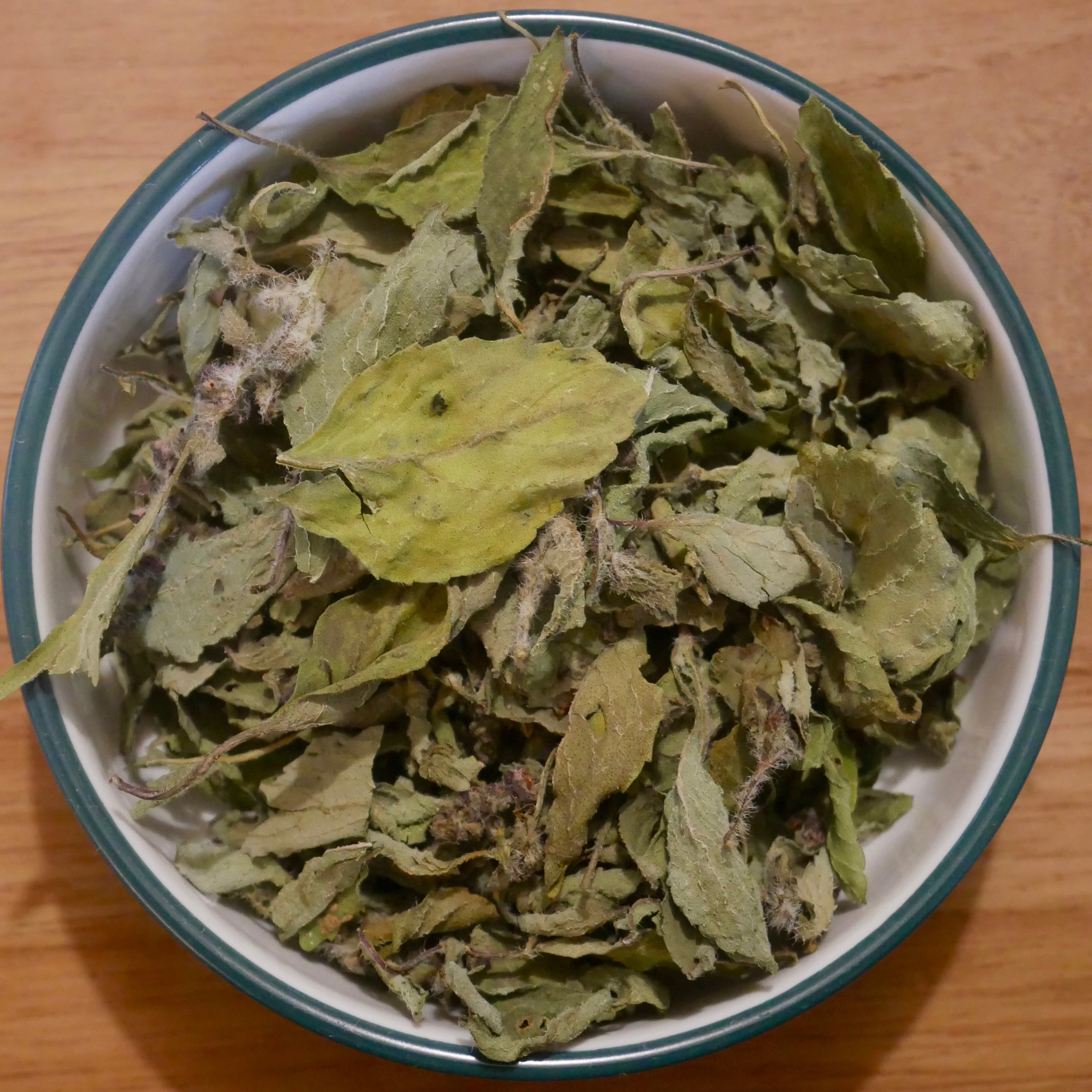 Basilic sacré - 10g