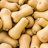 Courge Butternut