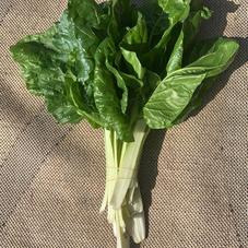 Blettes blanches - 500g