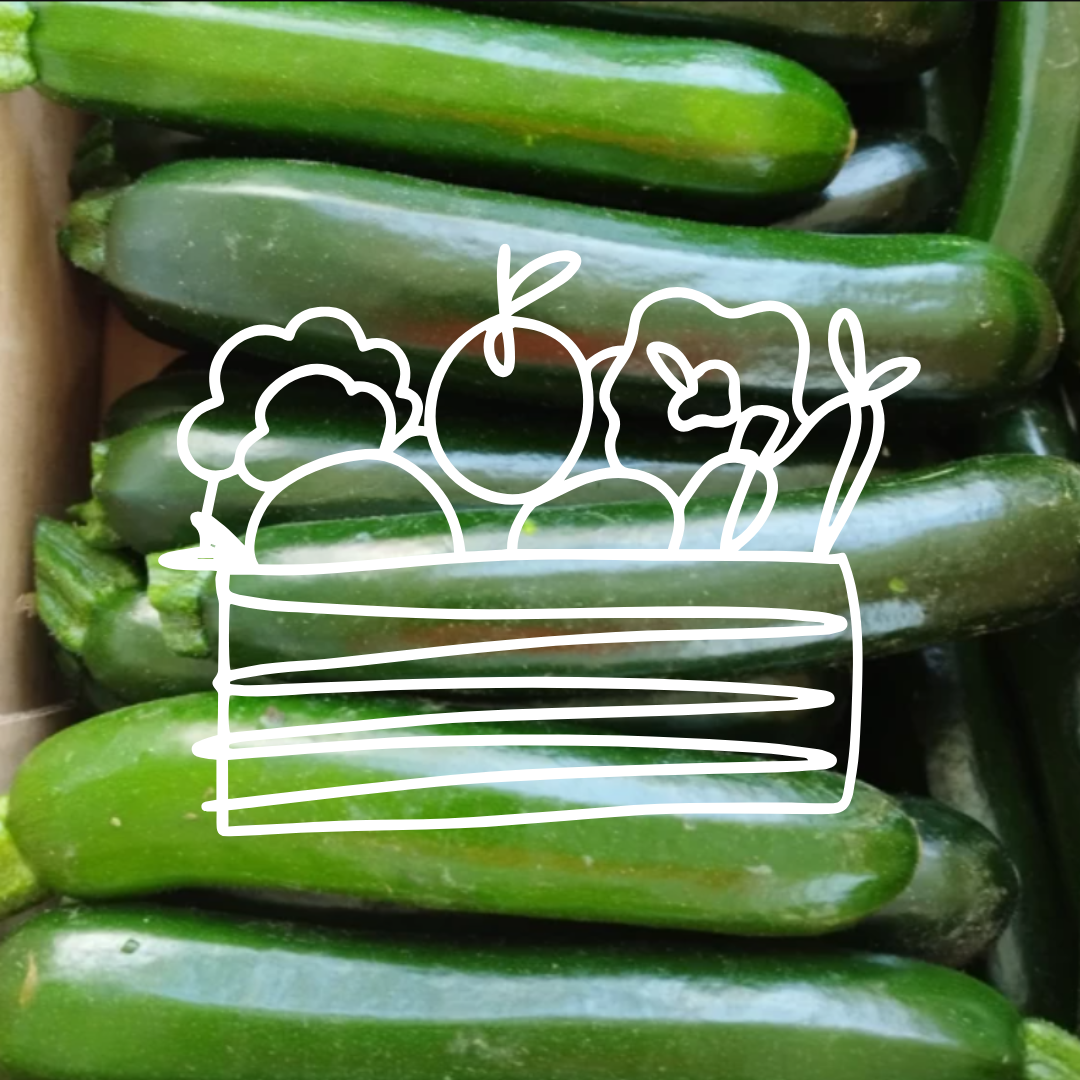 Courgette petite/moyenne - Colis complet - 6kg