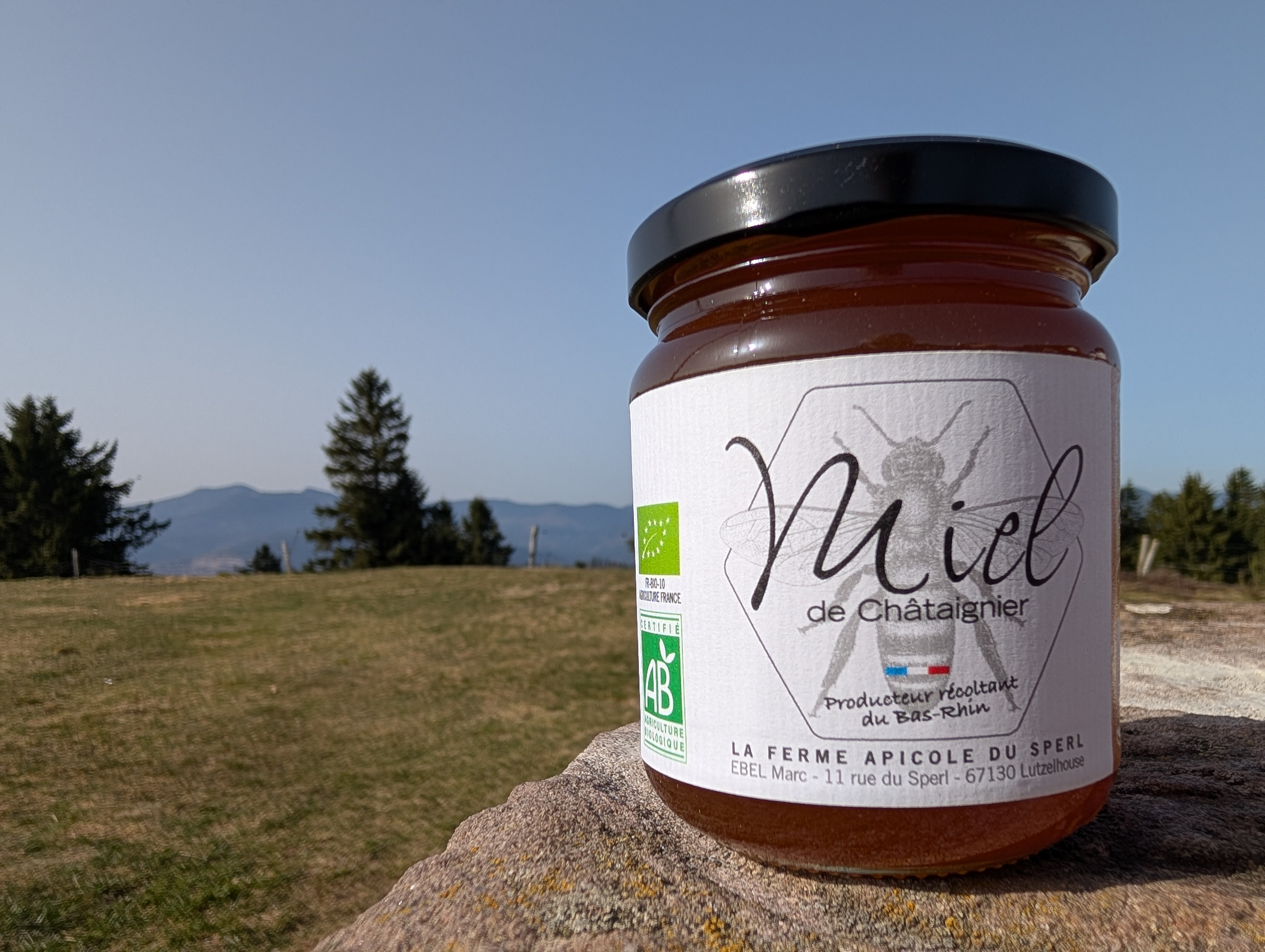 Miel de Chataignier - 250g