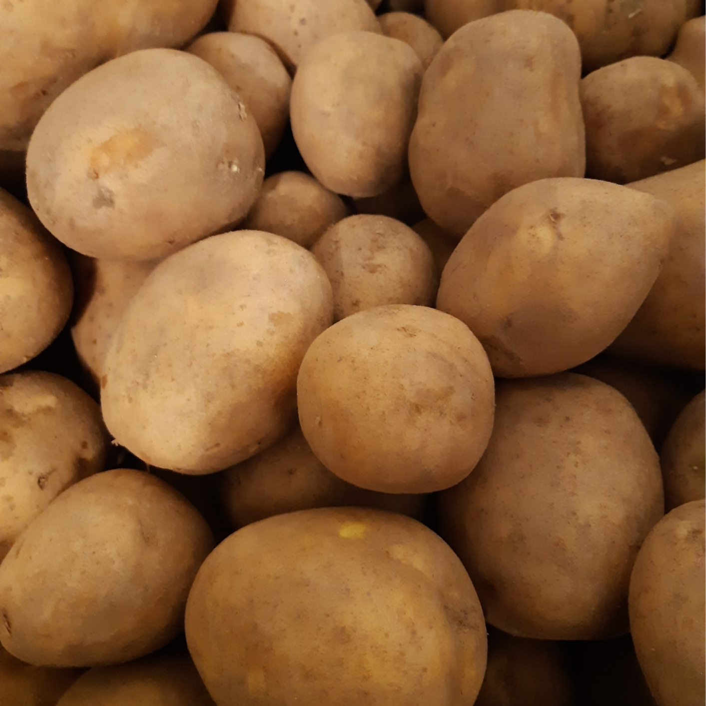 POMME DE TERRE CHAIR TENDRE