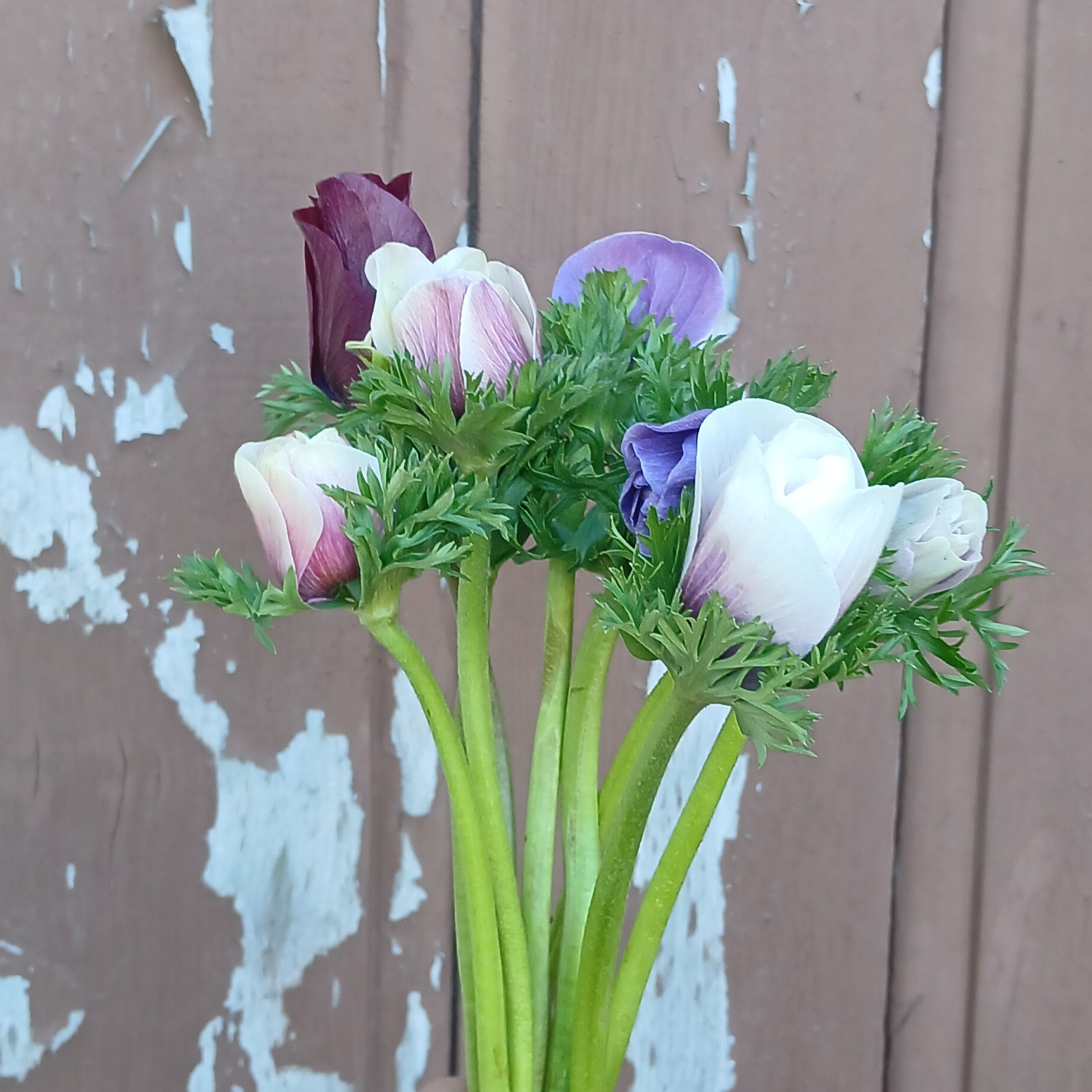 Botte de fleurs de saison