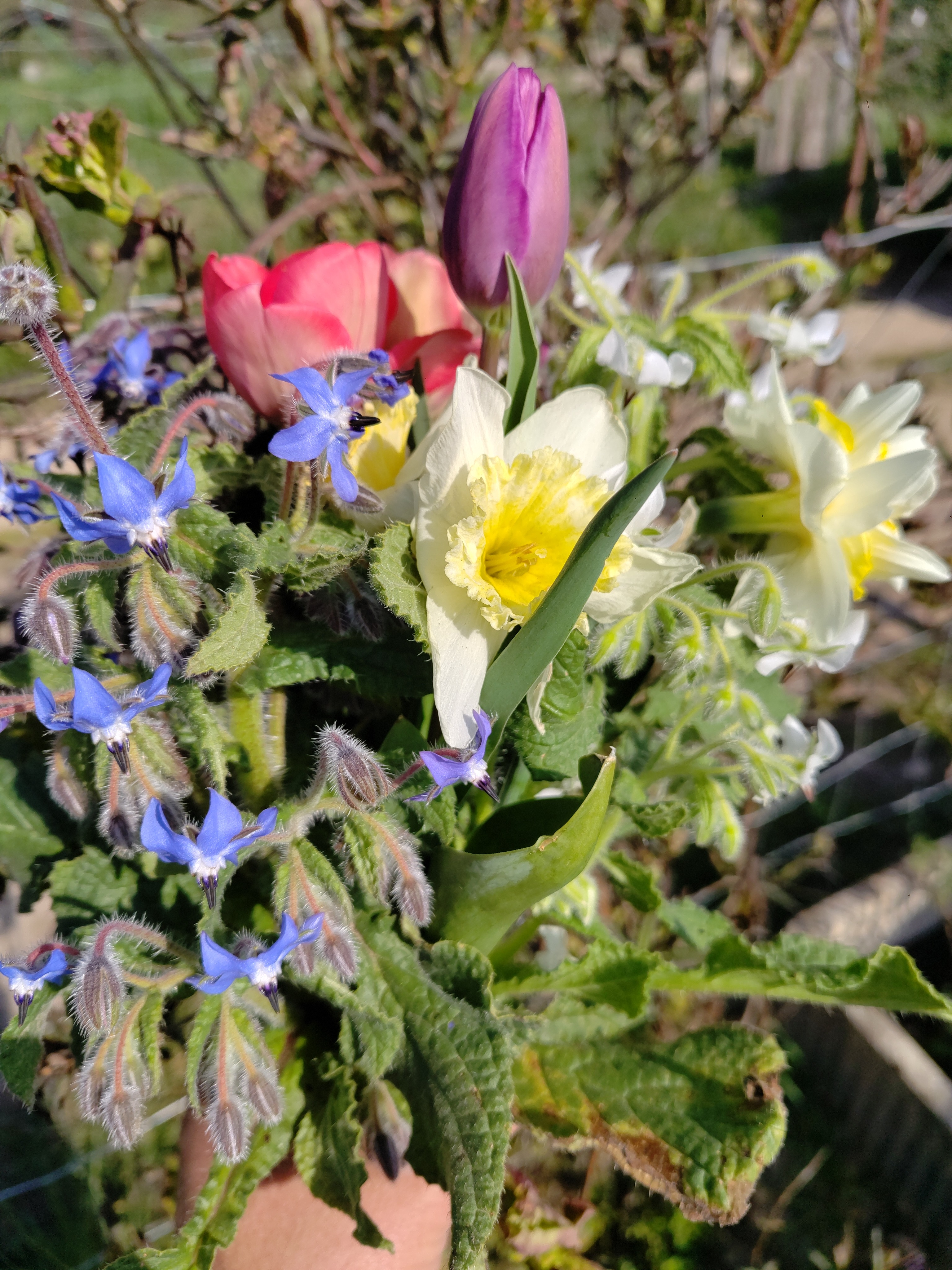 Bouquet de fleurs coupés du moment