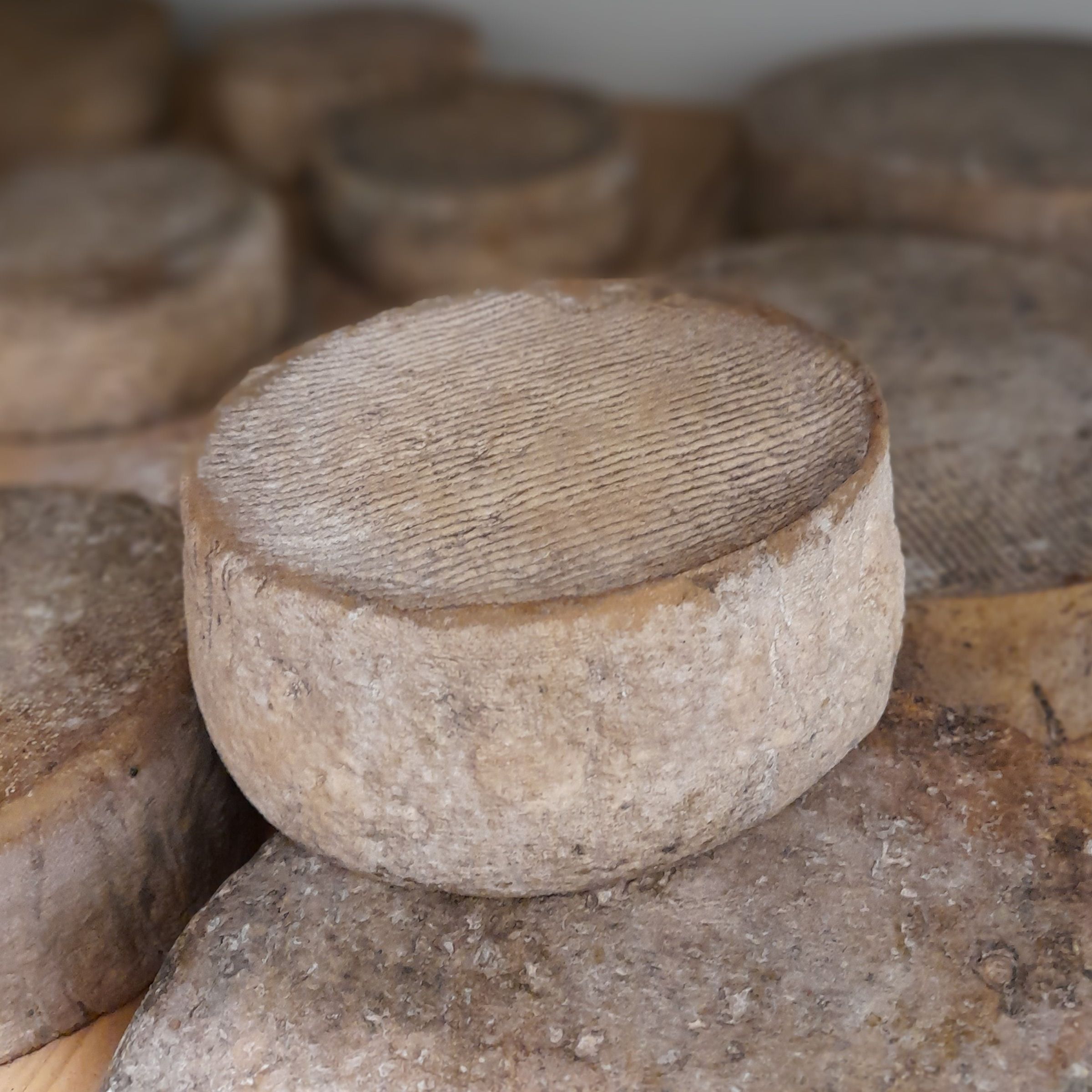 Tomme - 170g