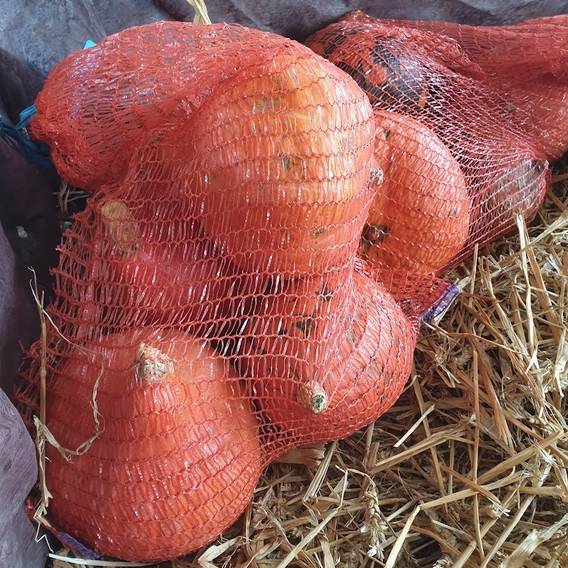 Potimarron + de 5kg