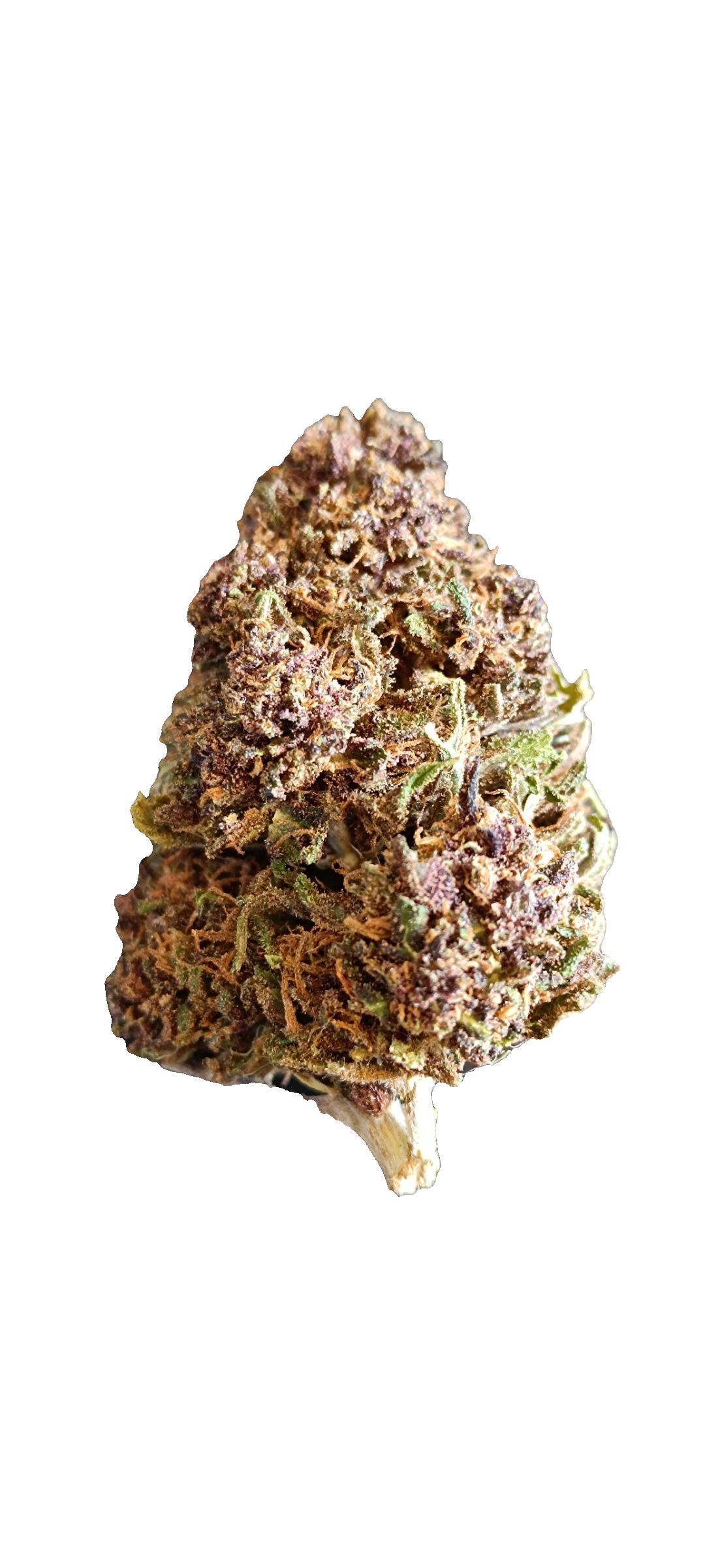 Blue Meringue Diesel