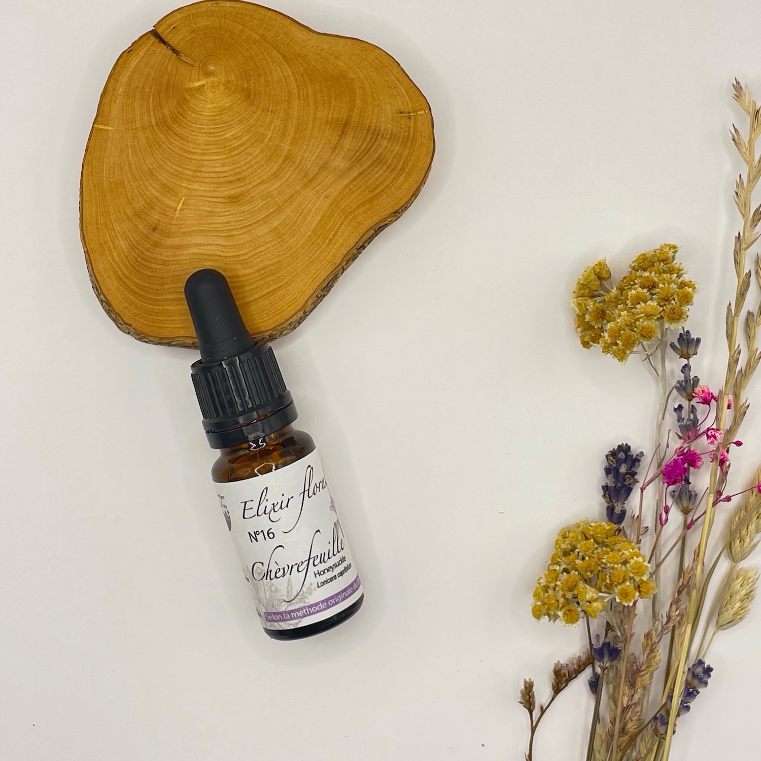 CHEVREFEUILLE, Lonicera caprifolium, HONEYSUCKLE - 16 - 10ml