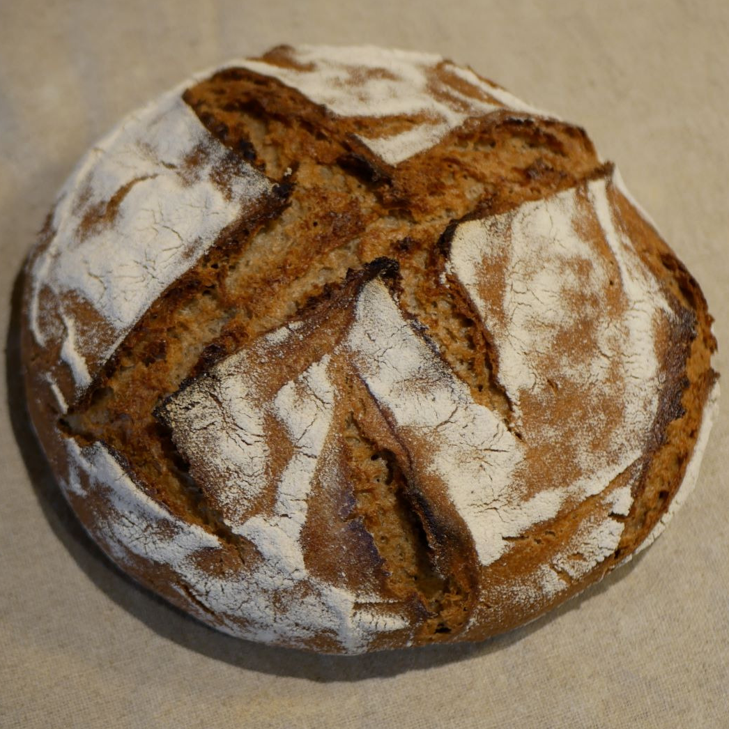 Gros méteil - seigle et blé - 900g