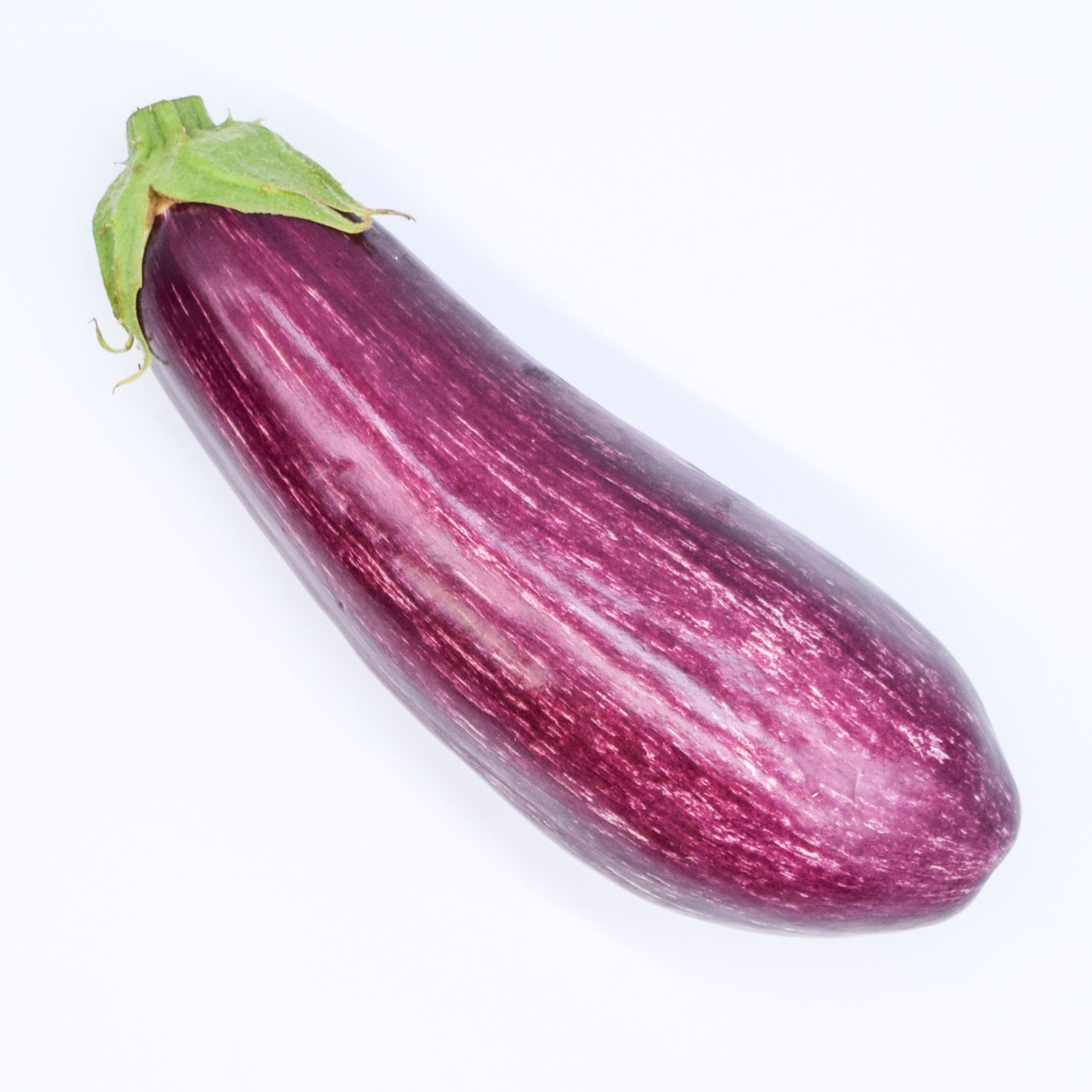 Aubergine striée