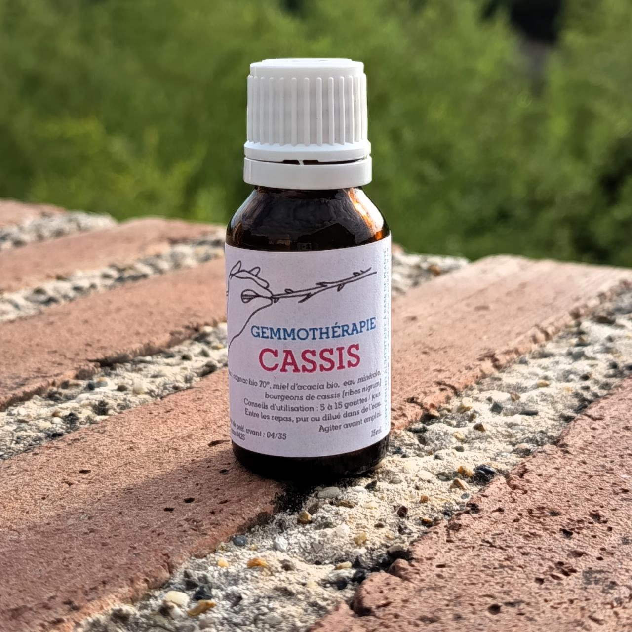 Cassis • Immunité, Inflammations & Allergies - 15ml
