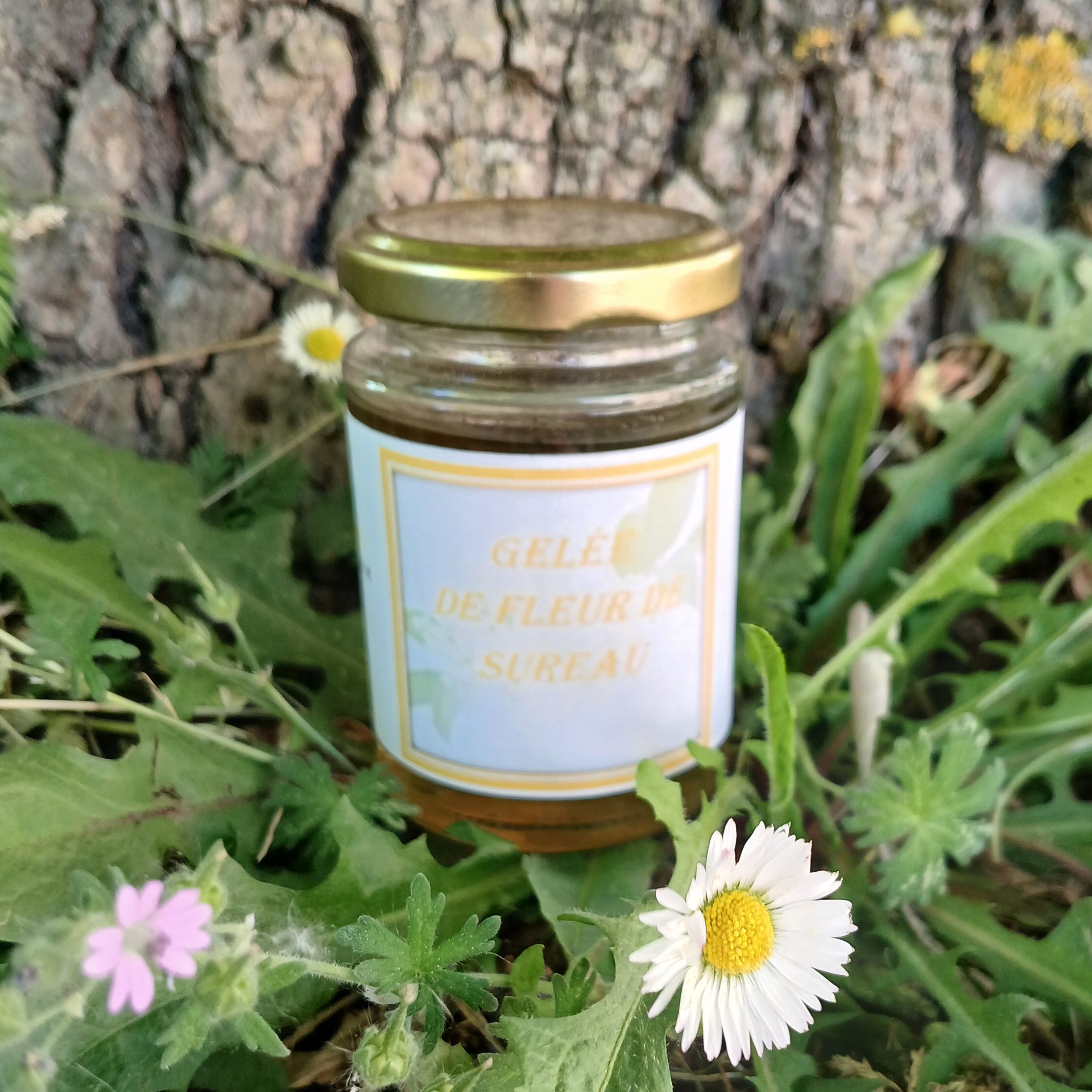 Gelée de fleur de sureau - 100g