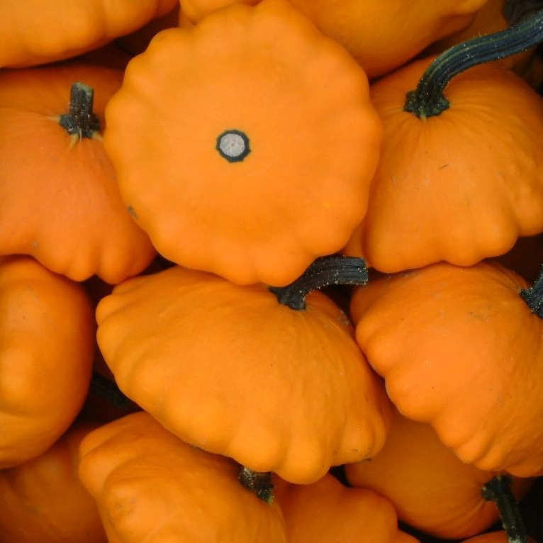 Courge Patisson - 0,8kg