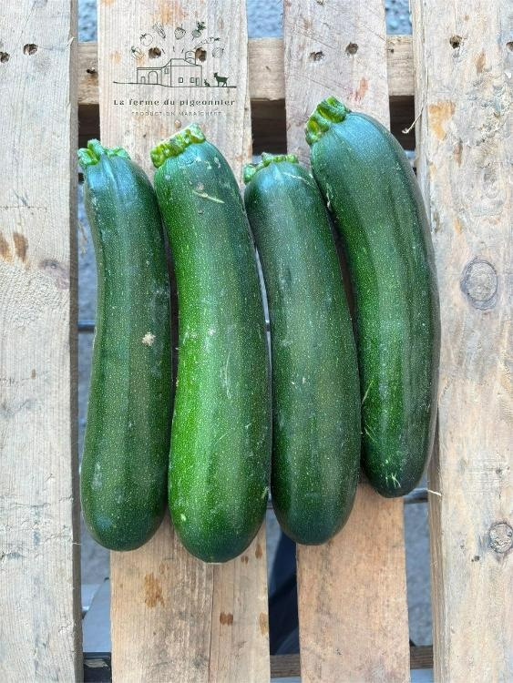 Courgettes vertes kg
