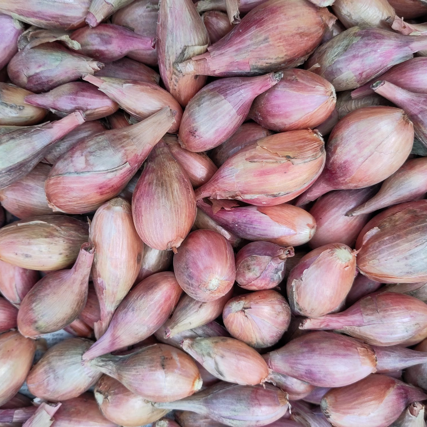 Échalotes - 250g