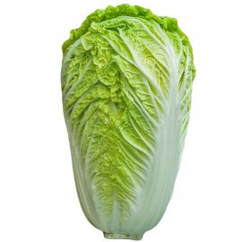 chou chinois Pé tsai ou chou de pékin - 1,2kg