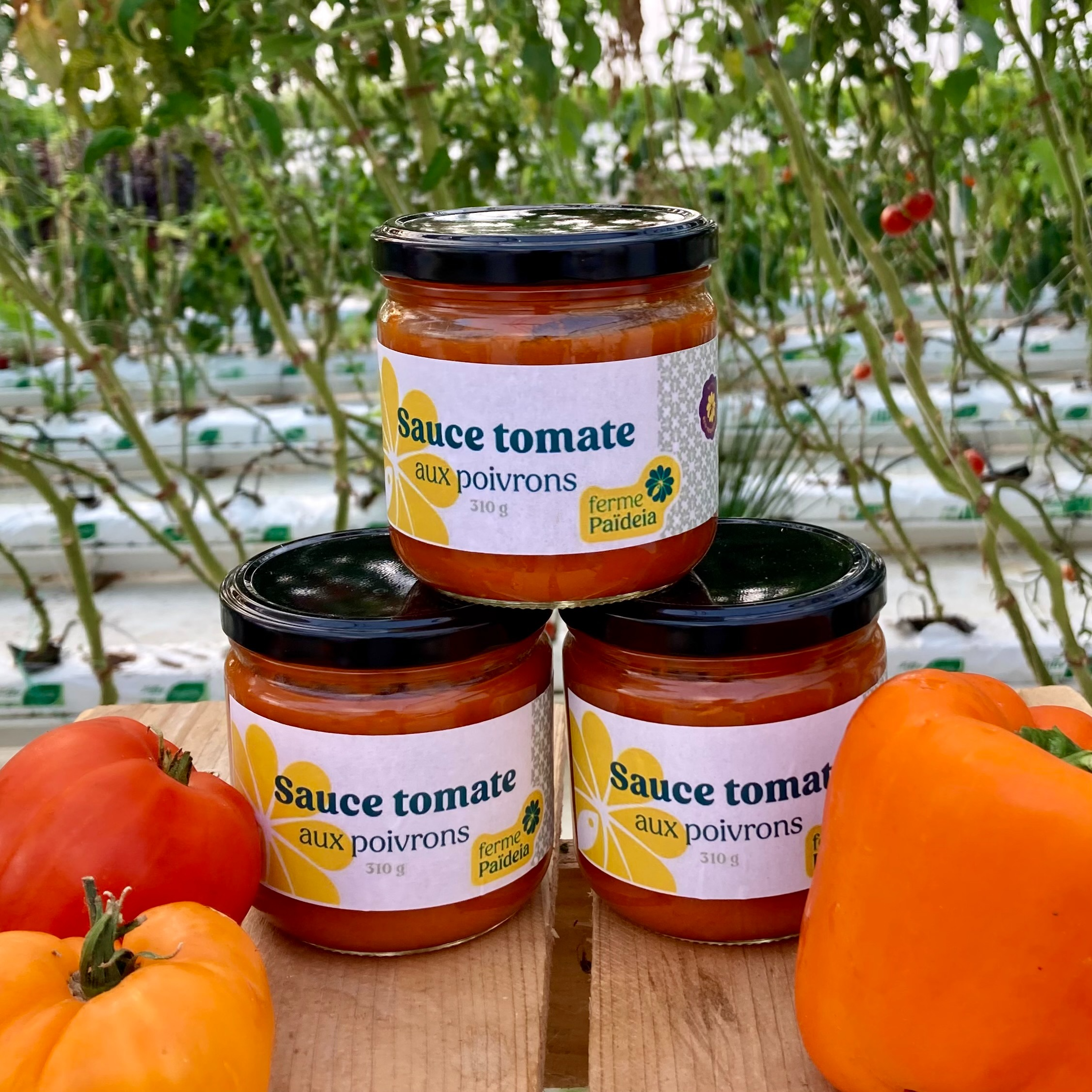 Sauce tomate Poivrons