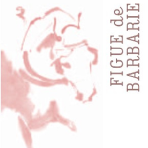 Vinaigre Figue De Barbarie 250 Ml