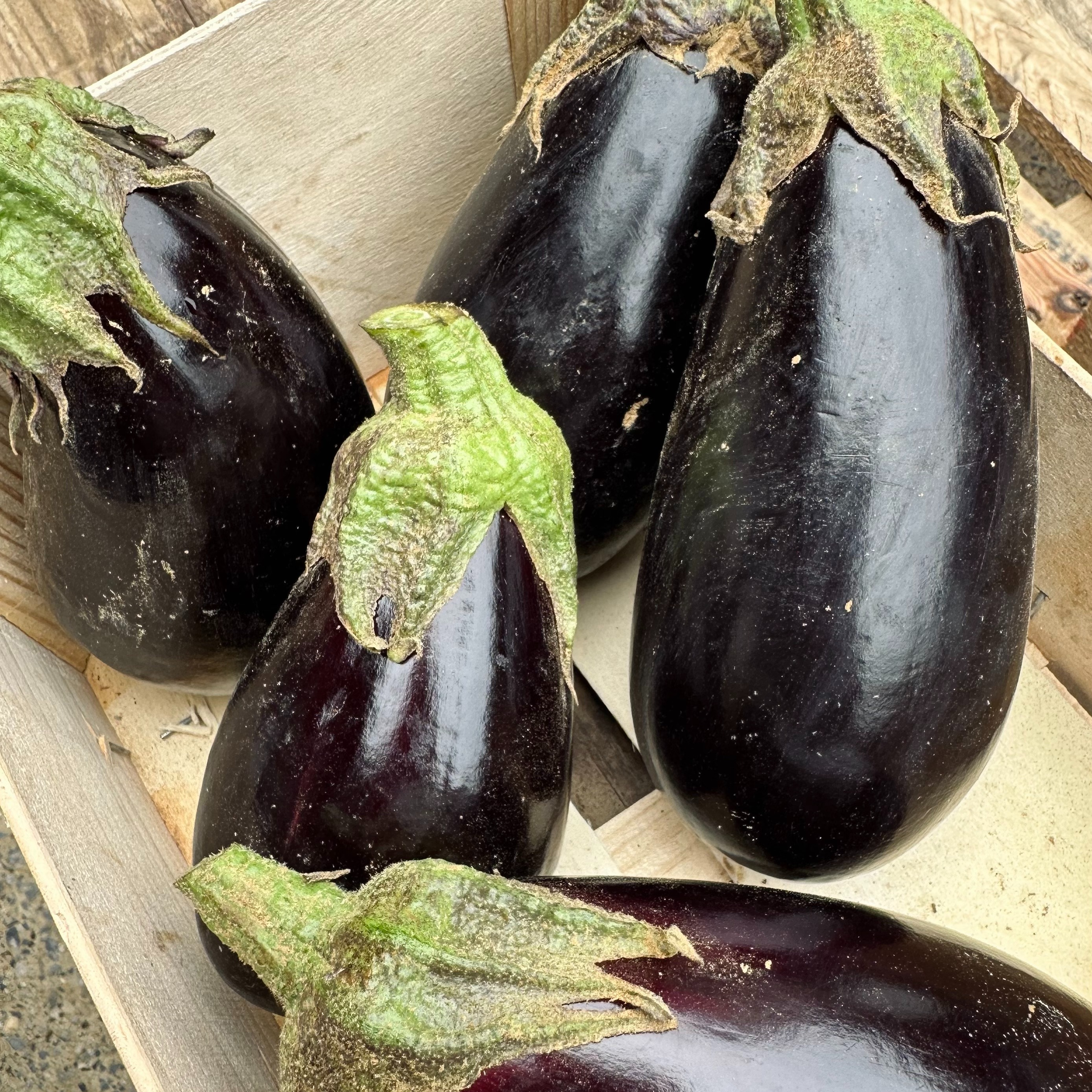 Aubergines