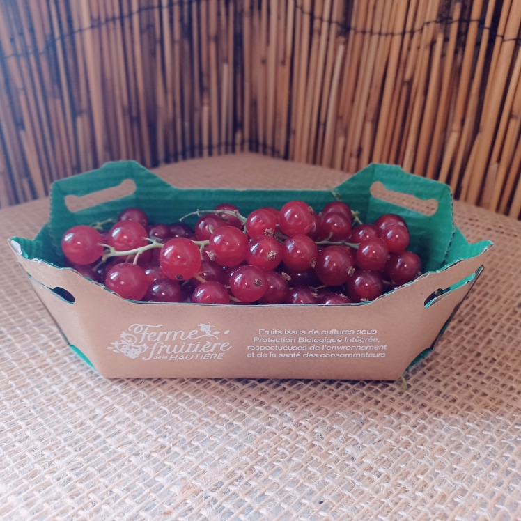Groseille - Ferme de la Hautière - 125g