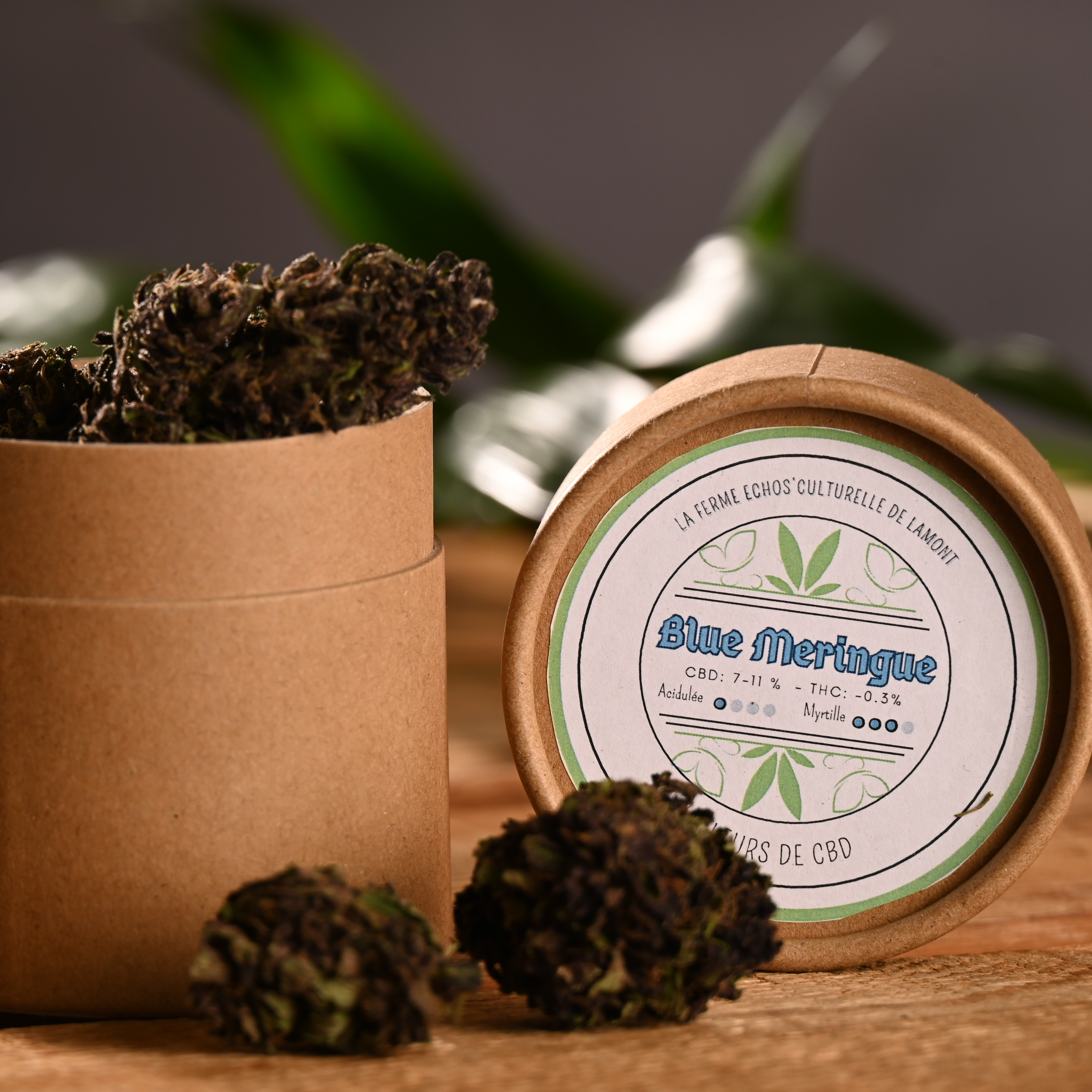 Fleurs de CBD Blue Meringue