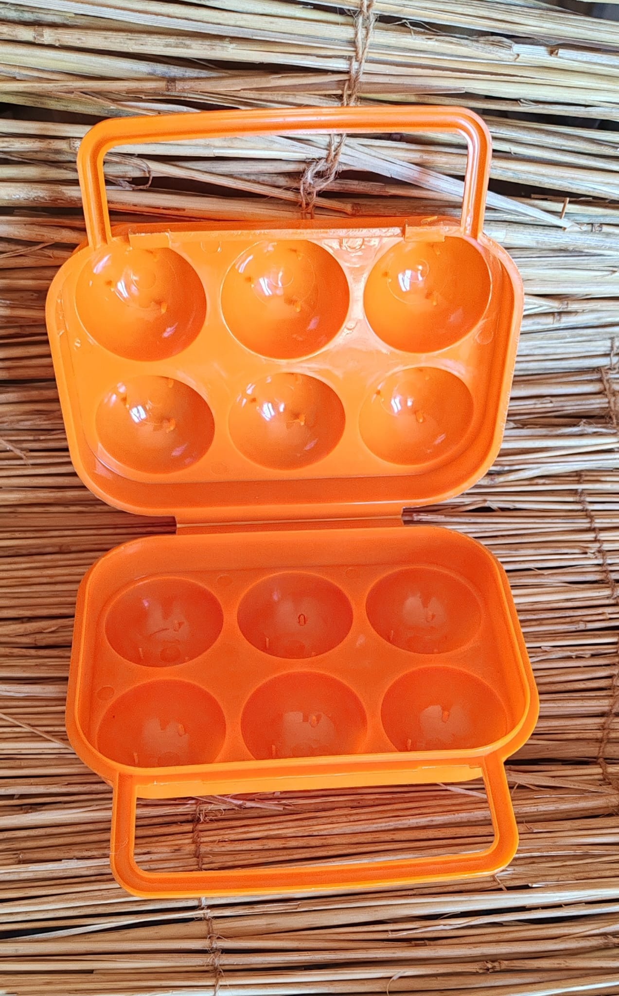Boite à oeufs en plastique