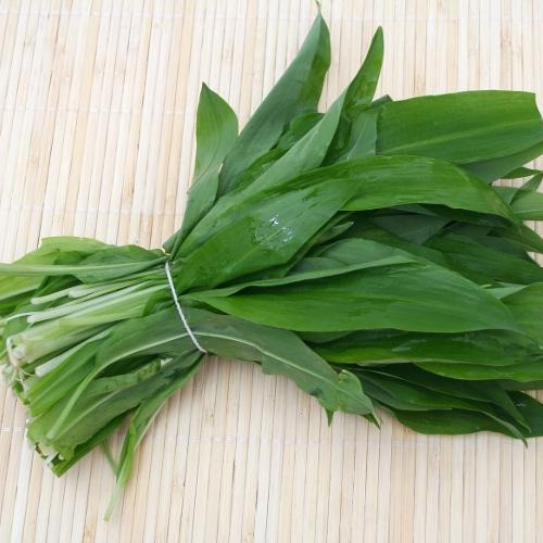 Ail des ours ( par 250gr)