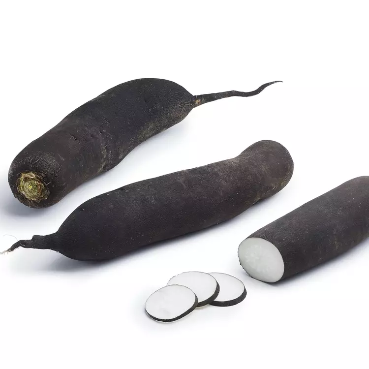 Radis Noir