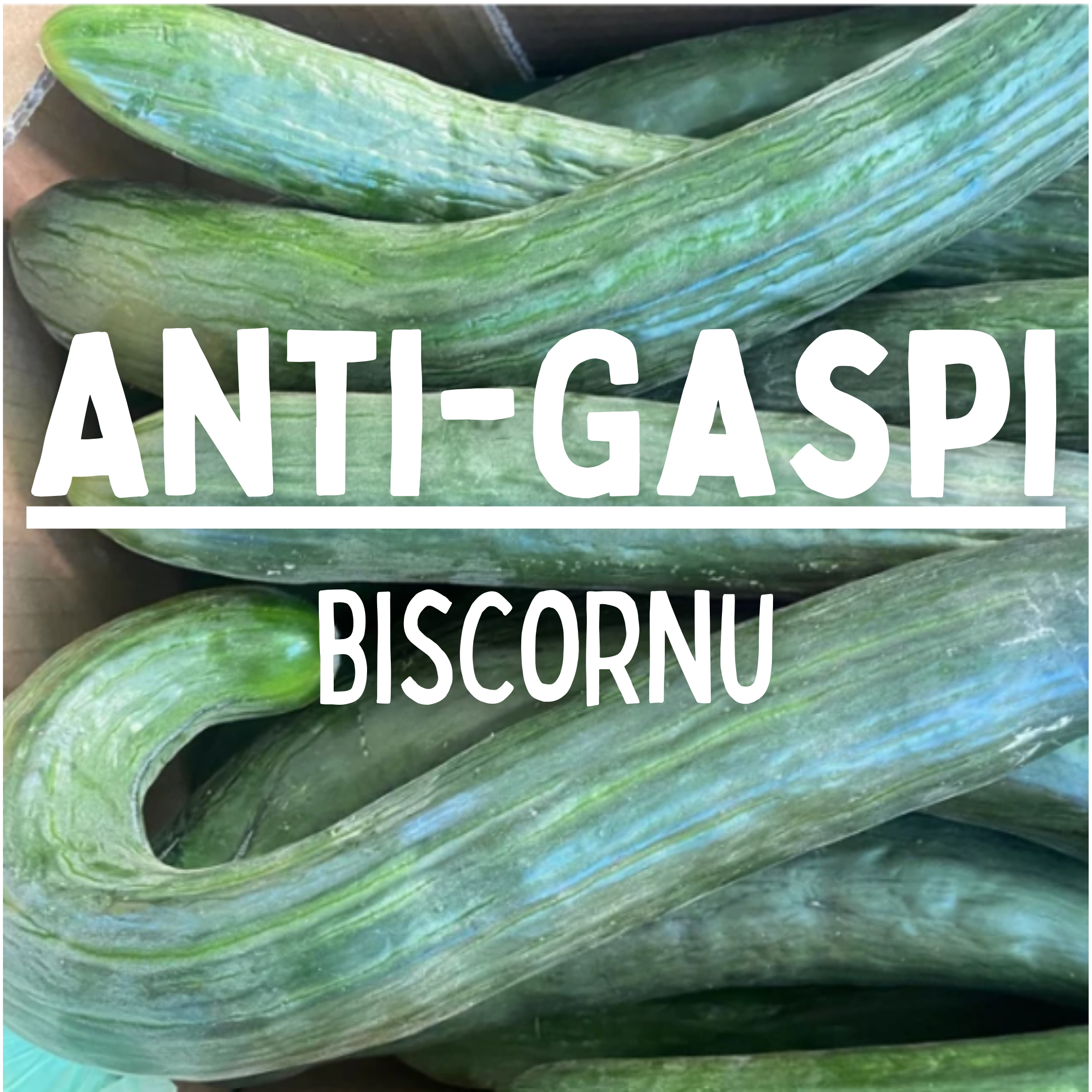Concombre long biscornu ANTI GASPI - 1 pièce