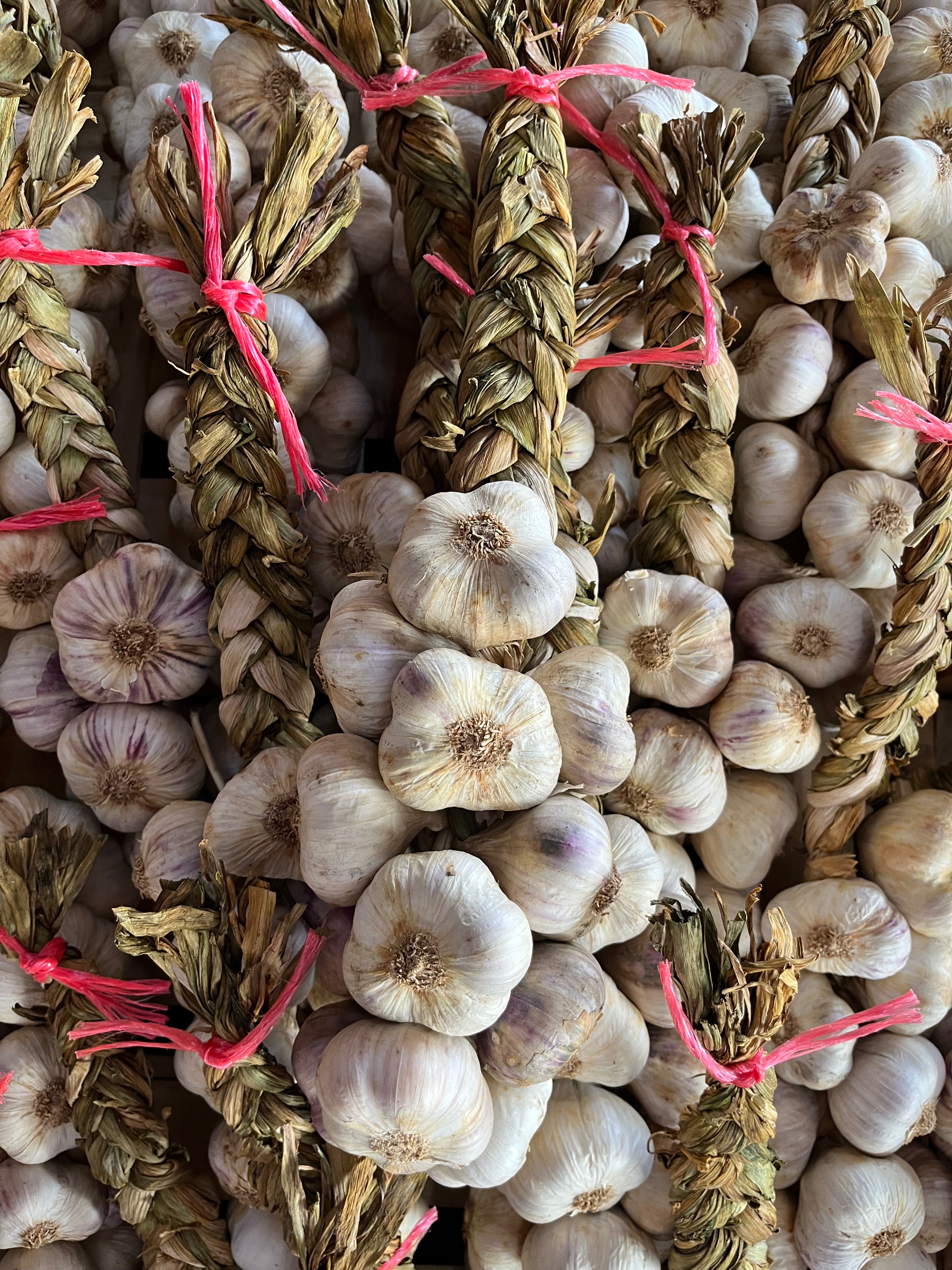 AIL VIOLET TRESSE 1KG