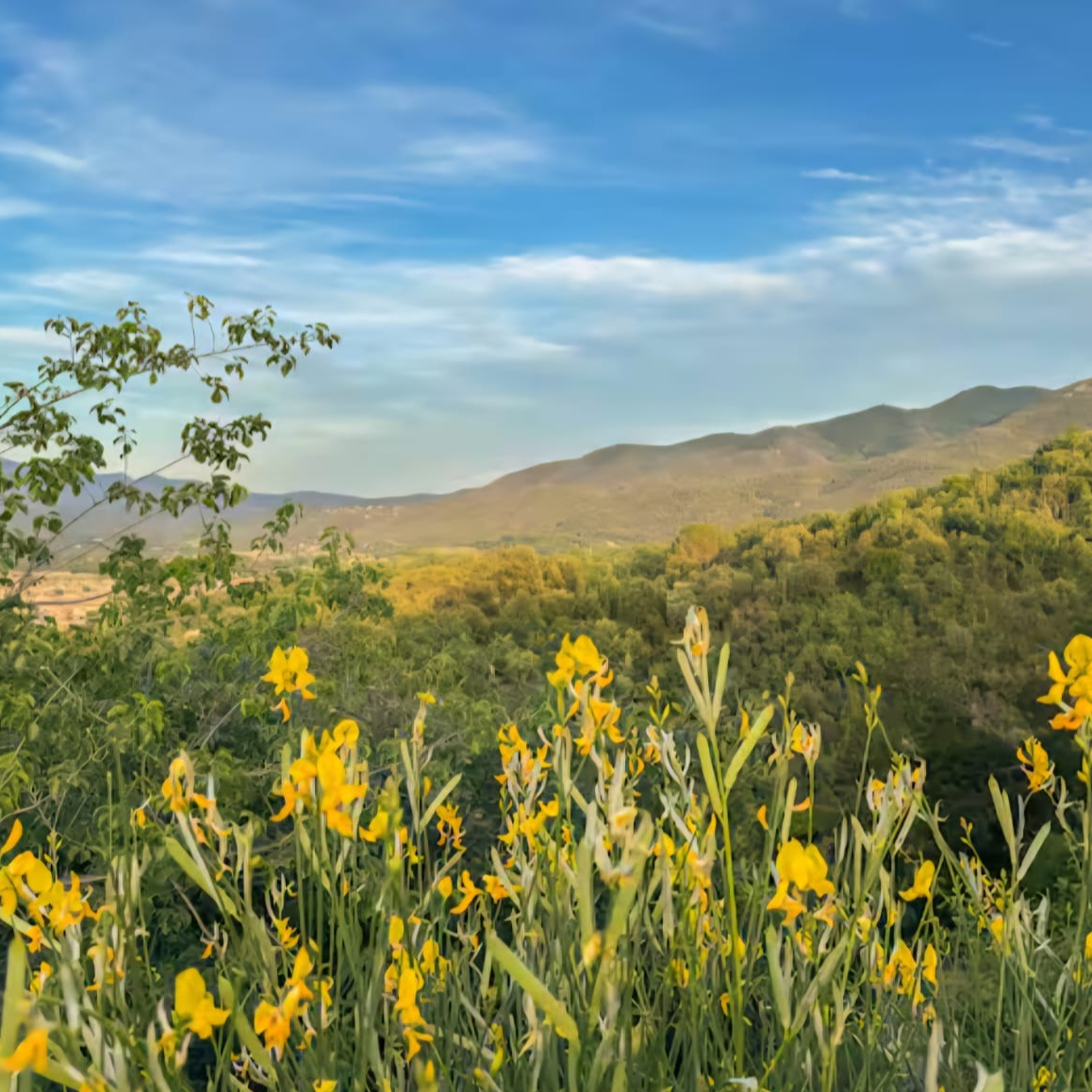 Écosystèmes vivants du sol (1h30)