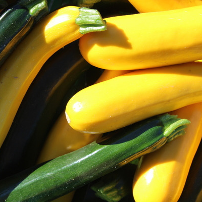 Courgette verte & jaune