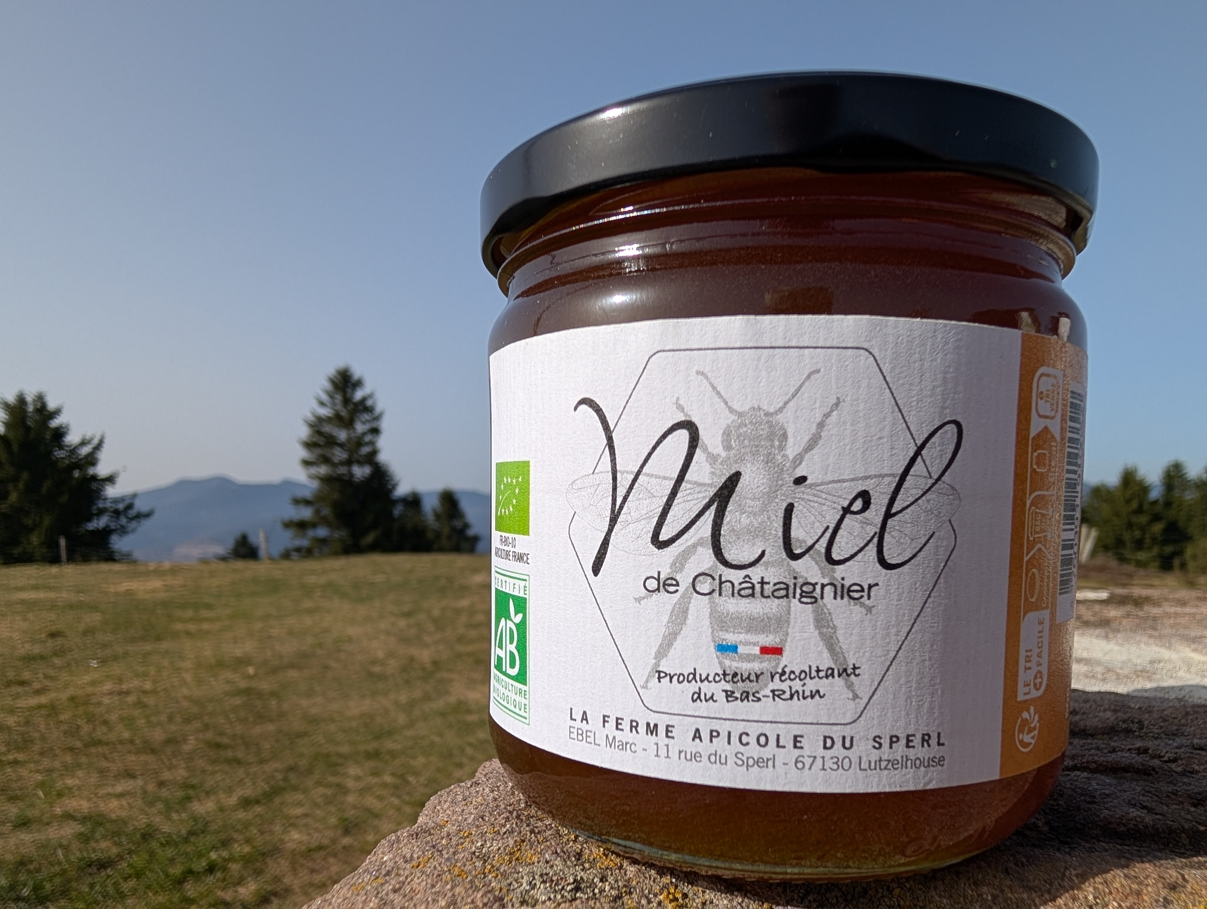 Miel de Chataignier - 500g