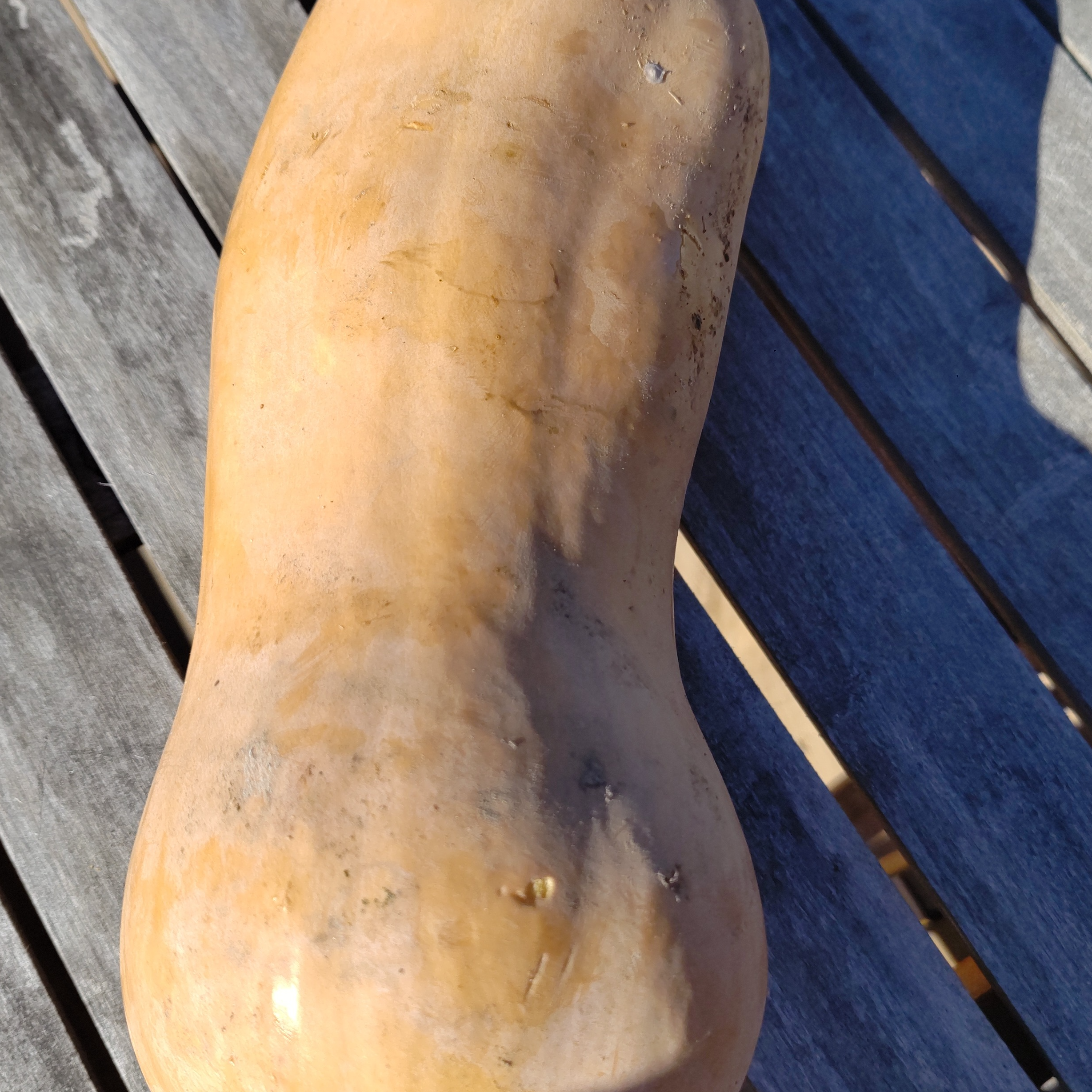 butternut