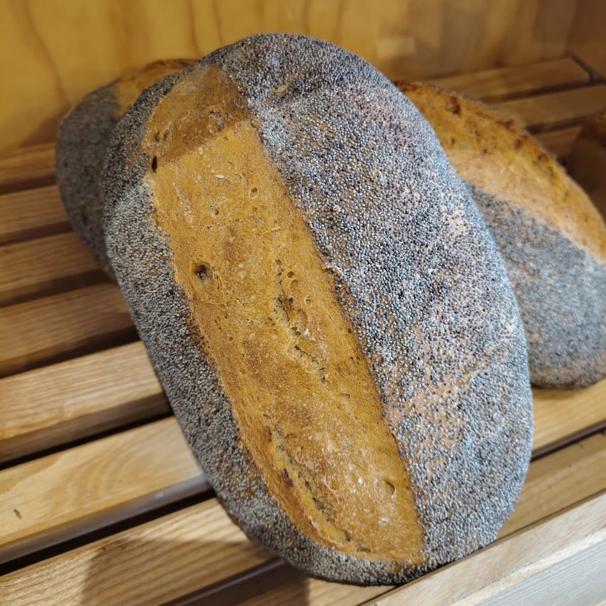 Pain aux pavots - 500g