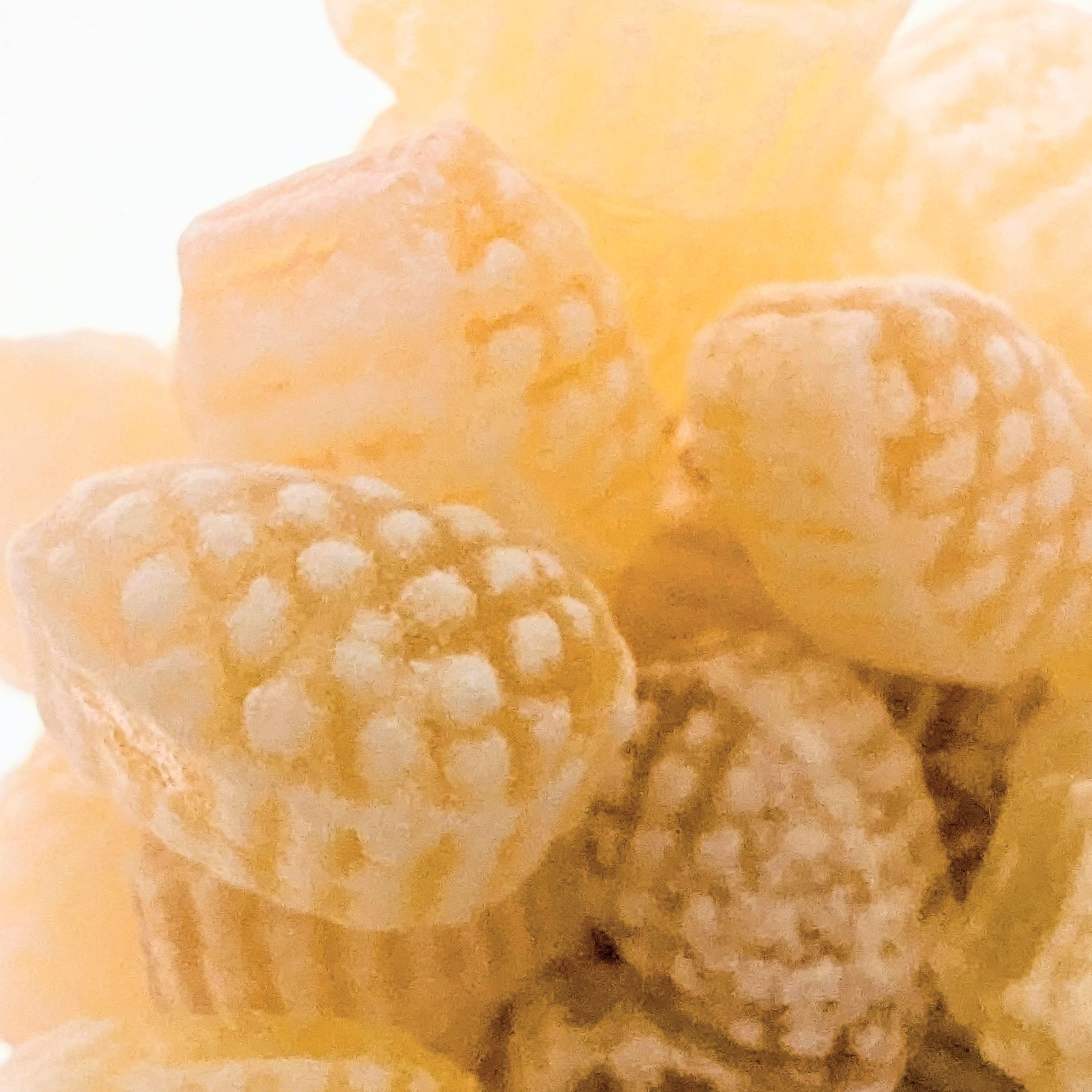 Sève de pin - 150g