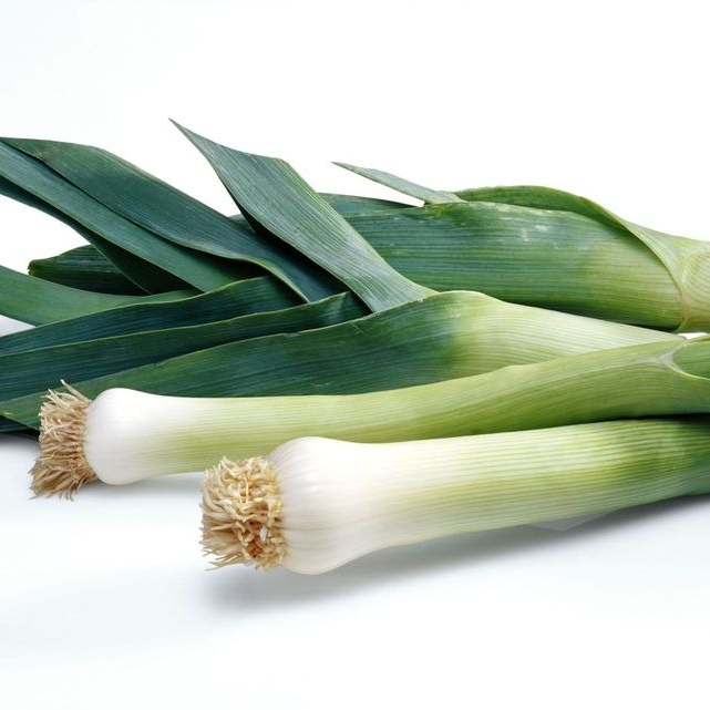 Poireaux - Conversion Bio - Ferme de Larrue