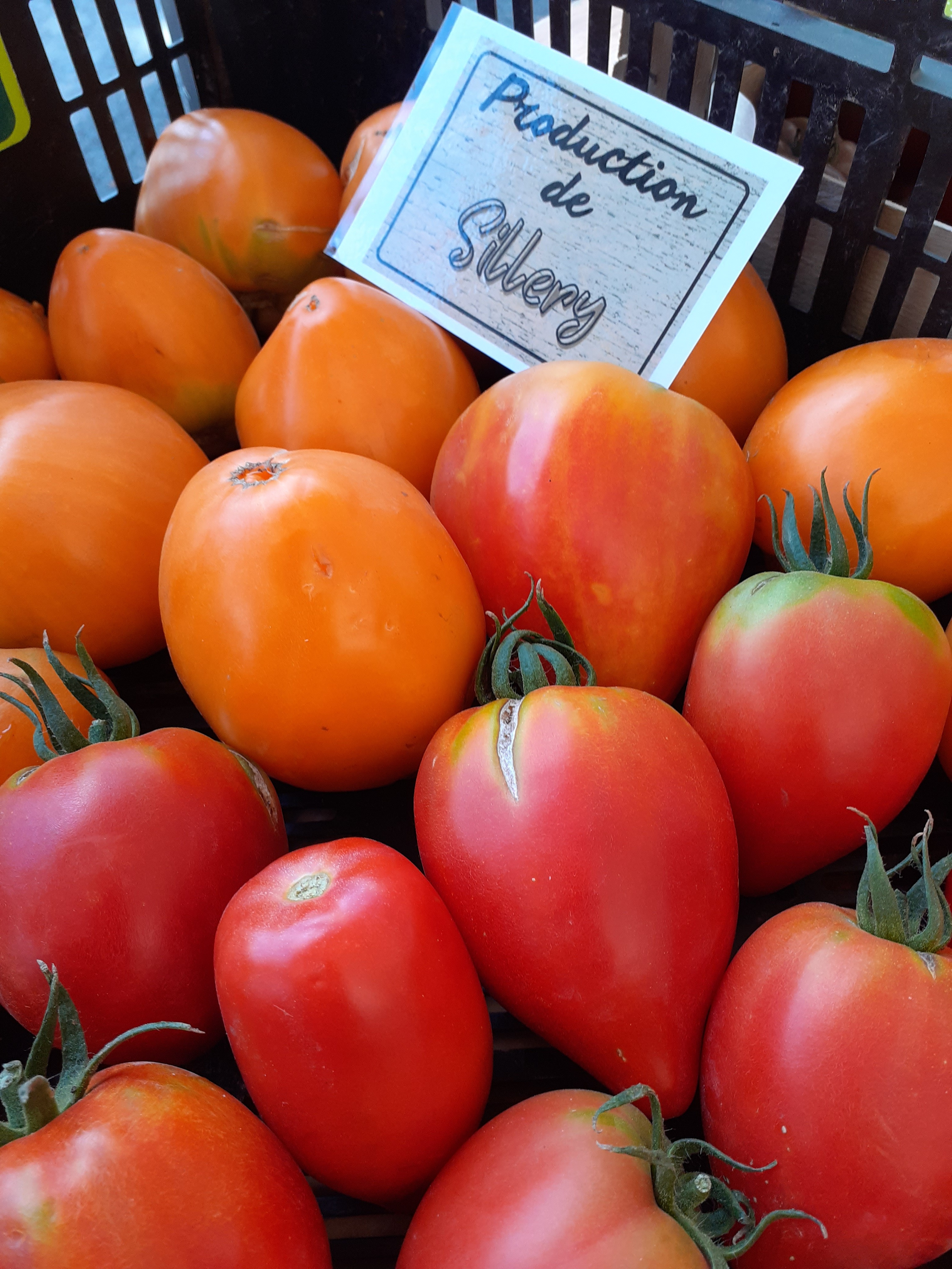 tomate Sillery