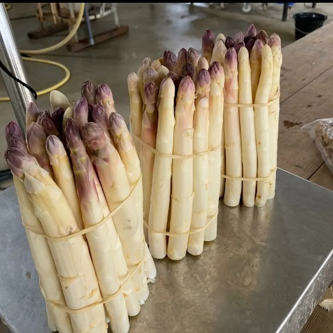 Botte Asperges Blanches - 1kg