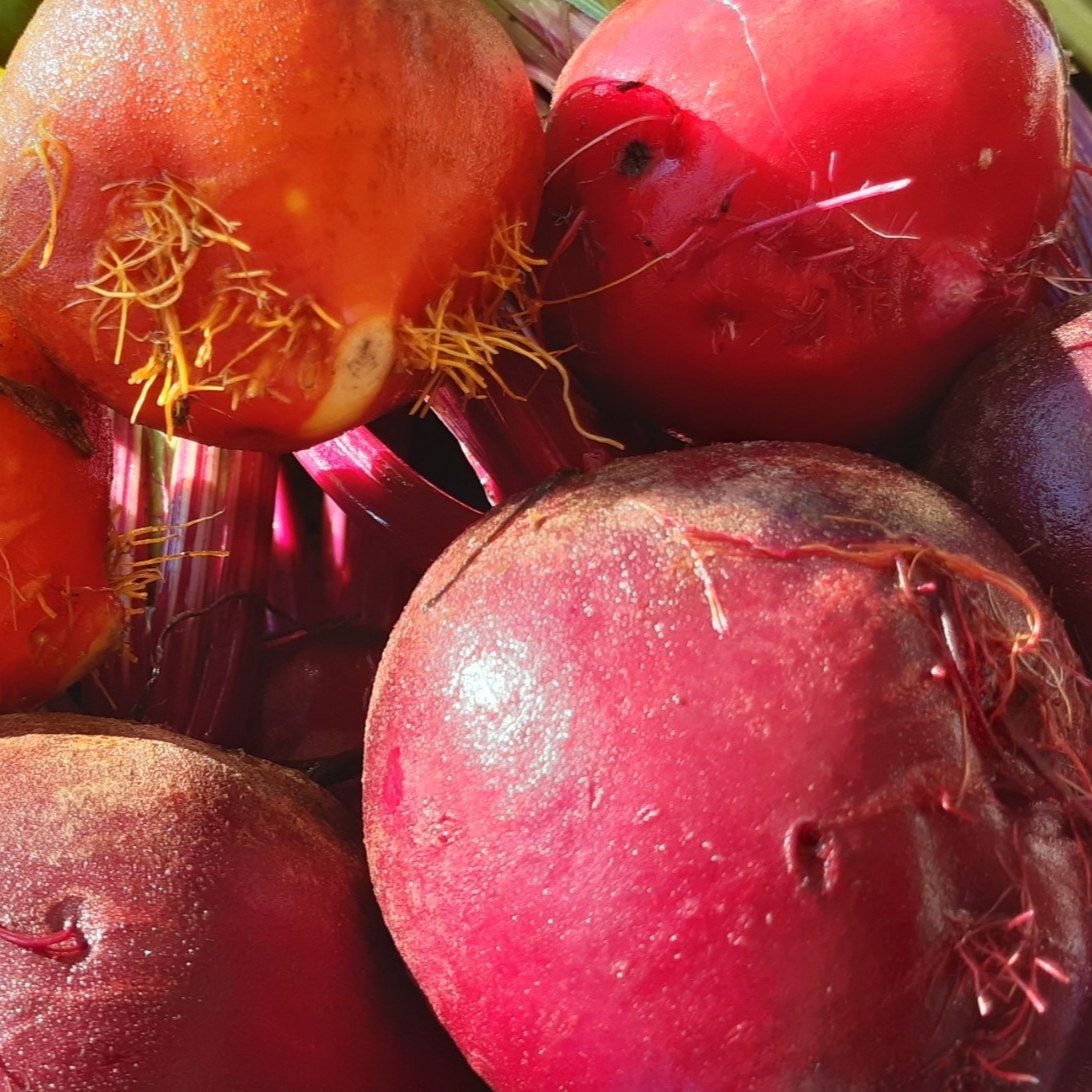 BETTERAVE VRAC - 500g