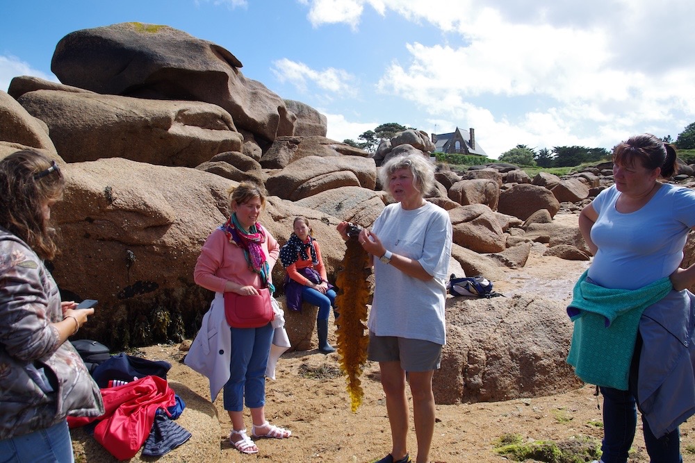 Stage Algues à l'Écocentre - 19 avril 2026