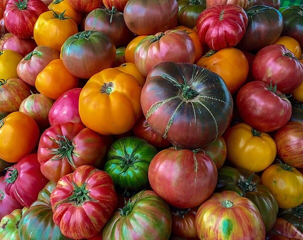 Tomates anciennes / Kg