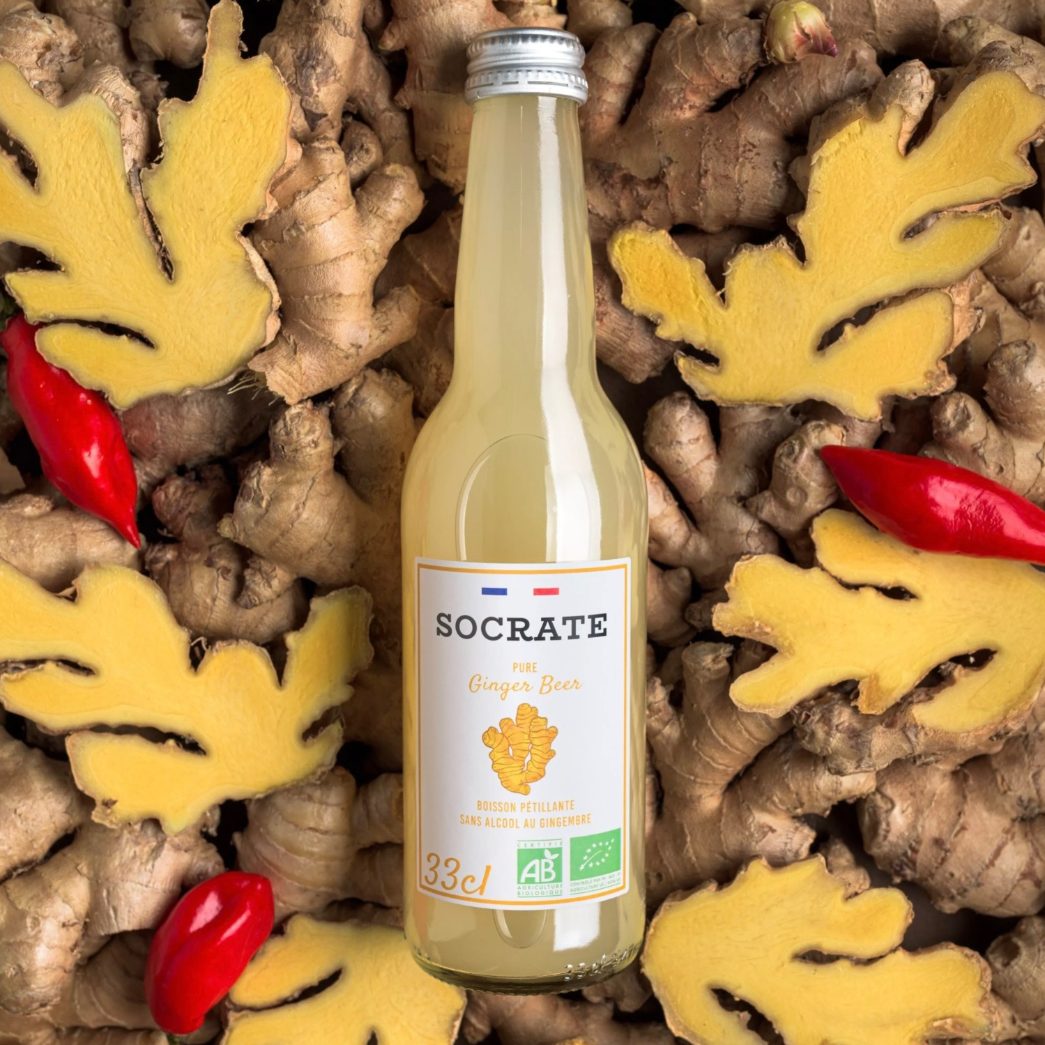 Pure Ginger Beer - 0,33l