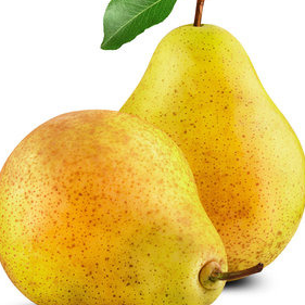 POIRE BIO AU KG Variété WILLIAM OU GUYOT