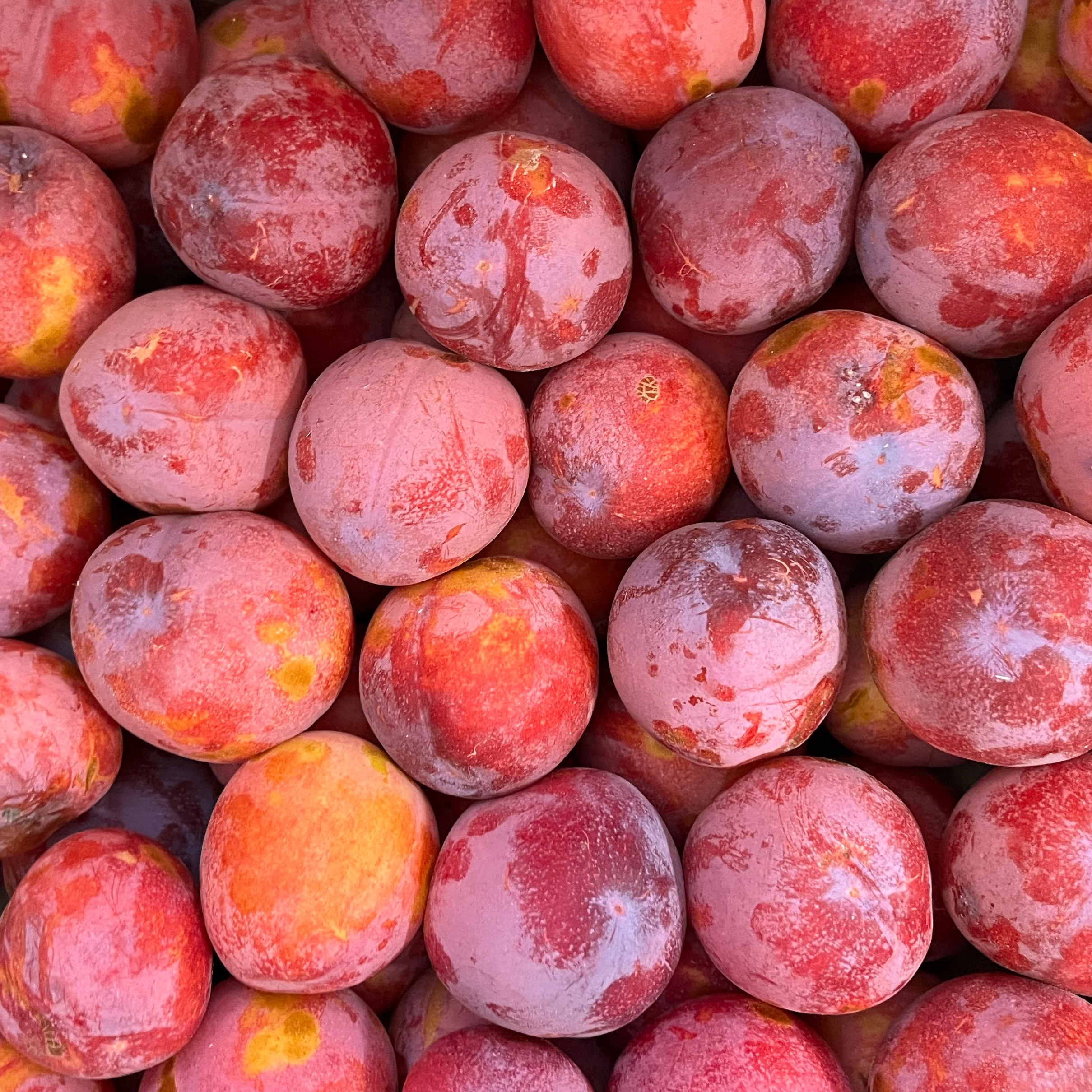 Prunes