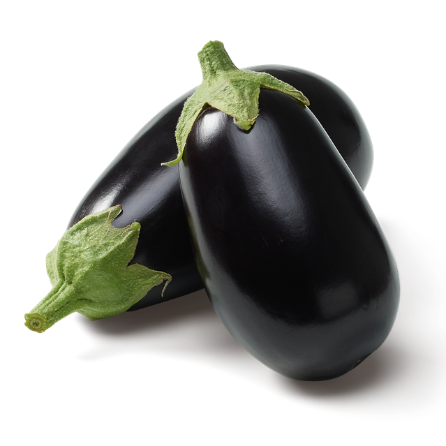 Aubergine