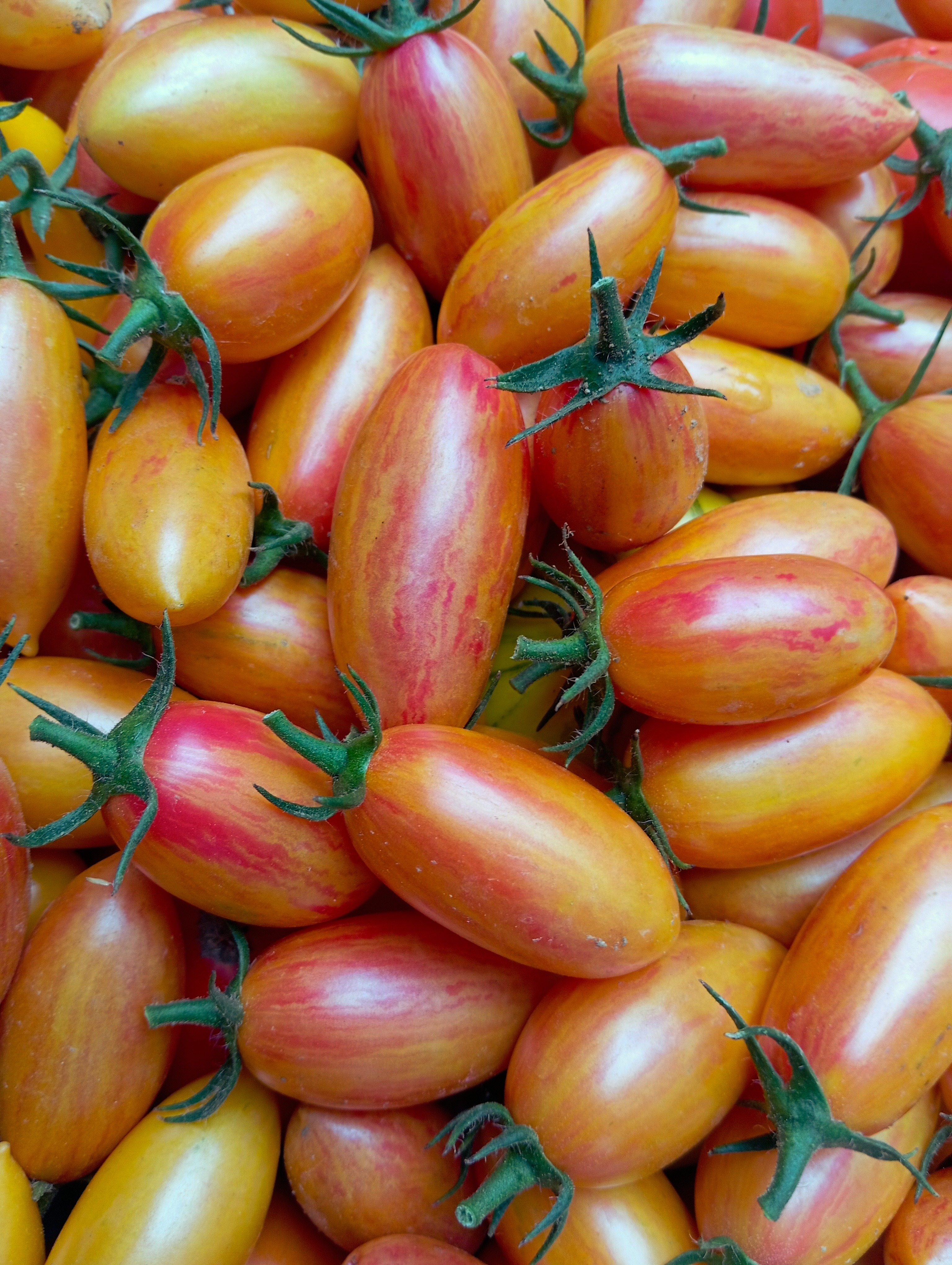 Tomate Cocktail AB