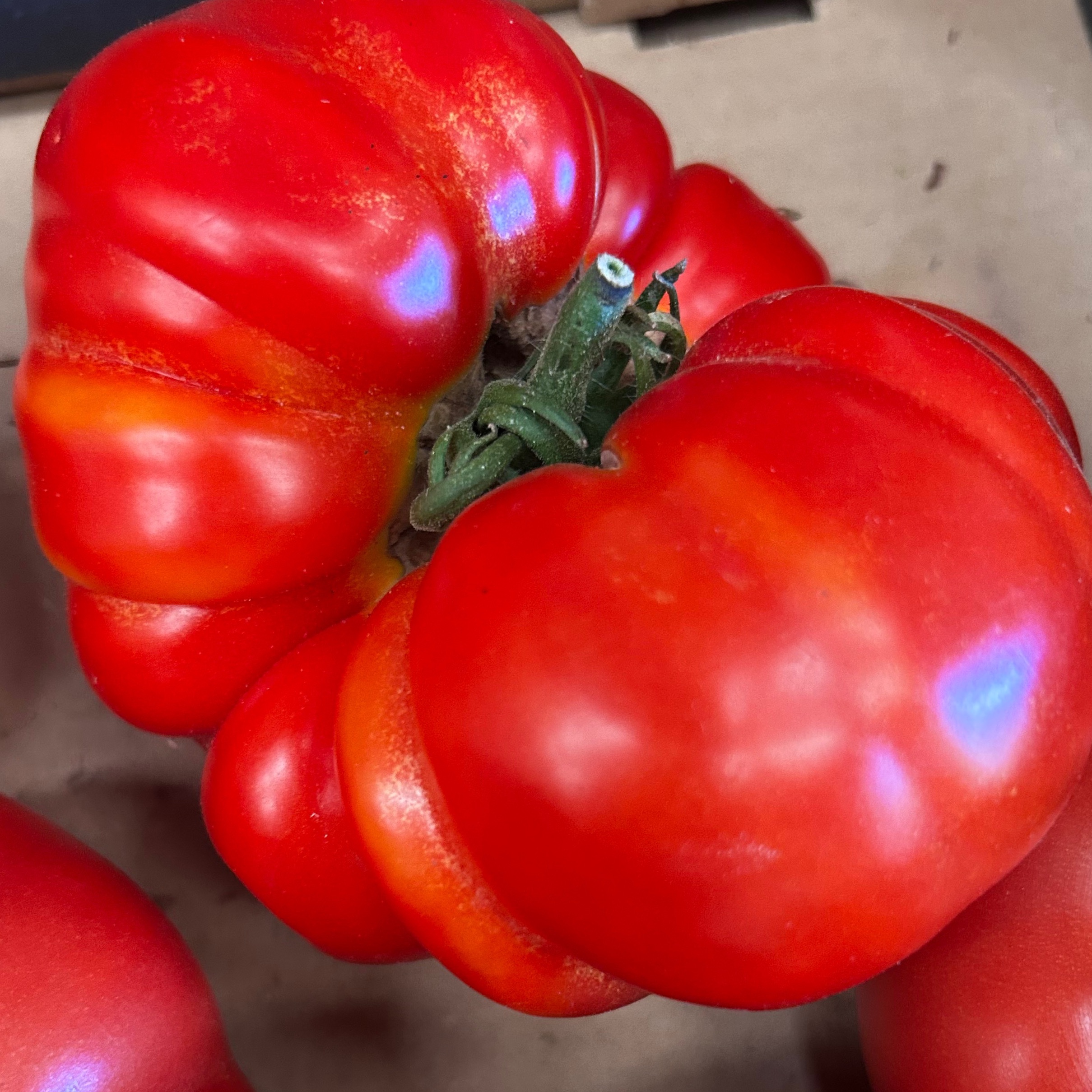 TOMATE BEEFSTEAK / Kg
