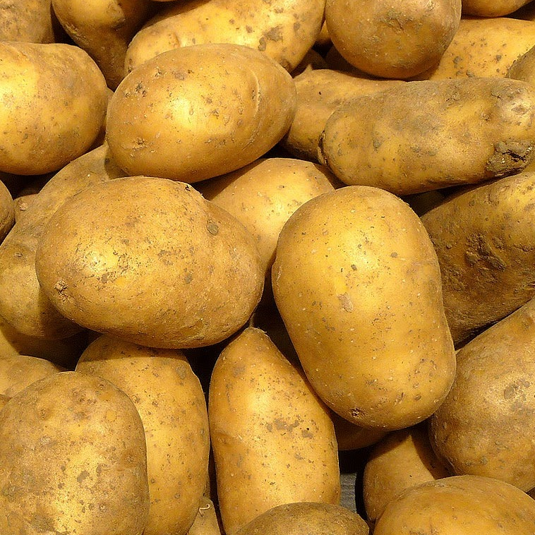 Pomme de Terre Alliance - 1kg