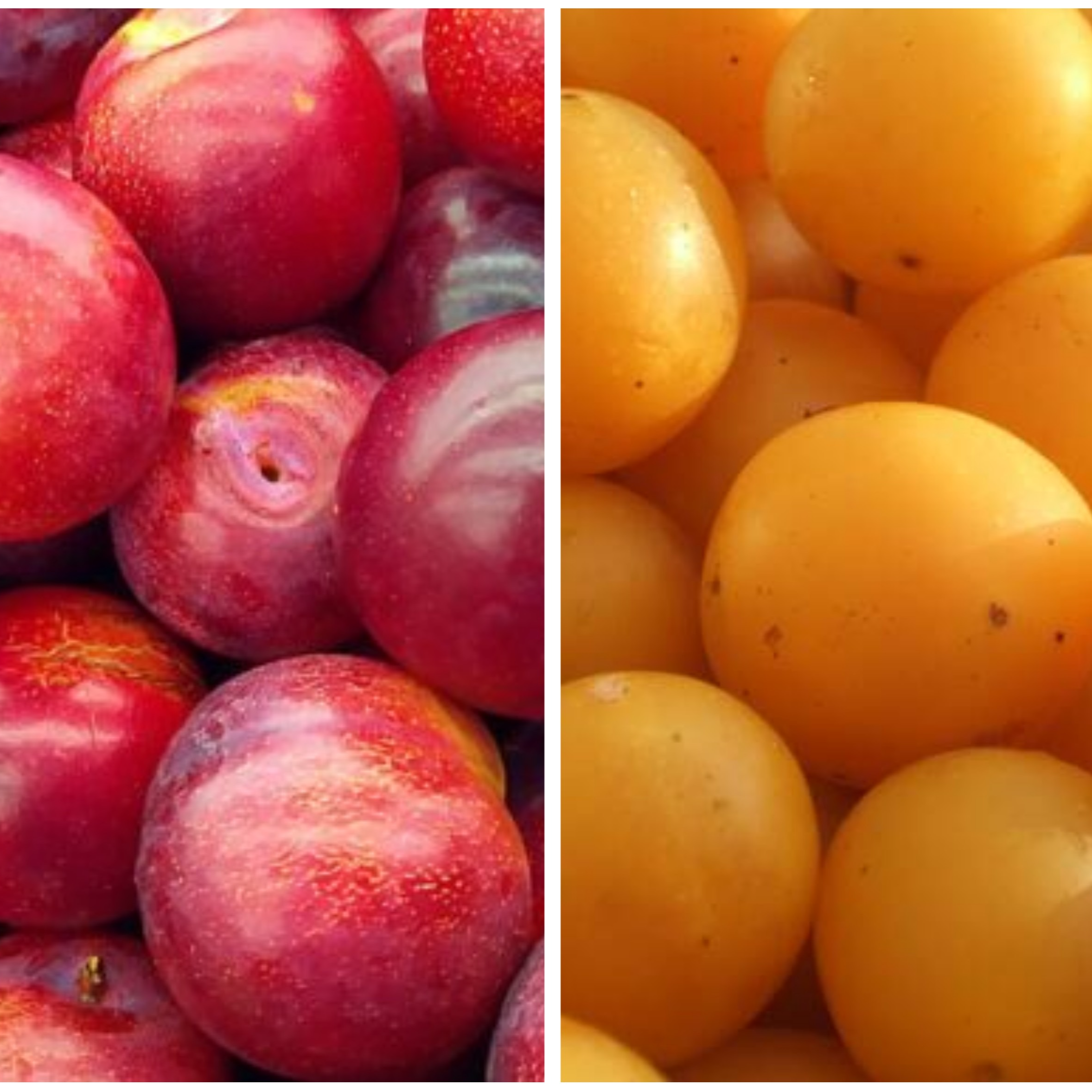 Mirabelle - 200g